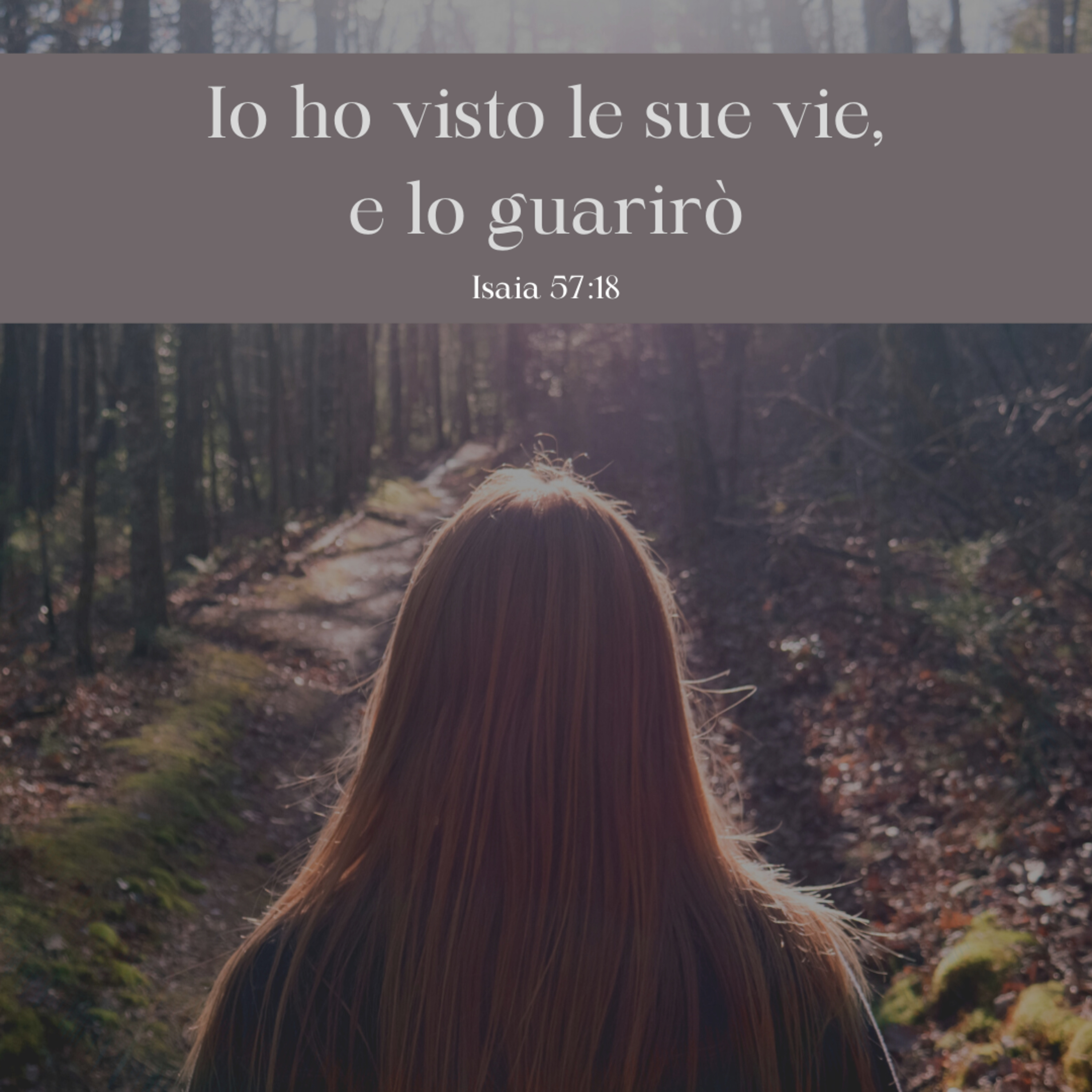 FIN DAL MATTINO