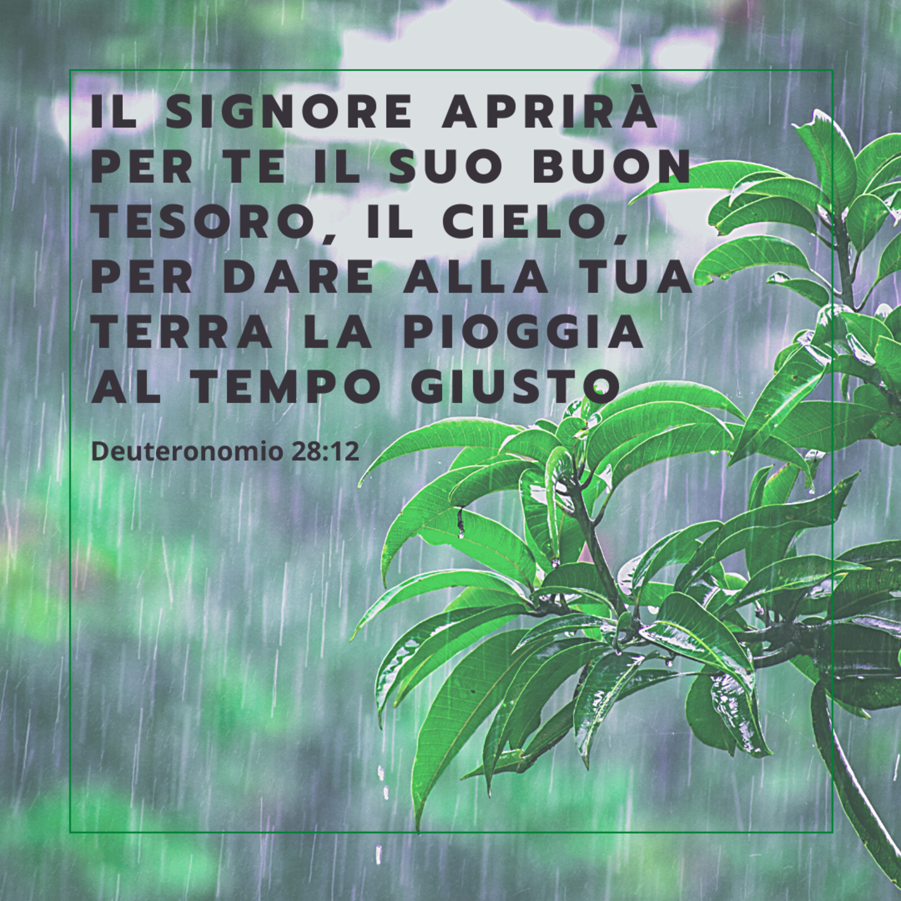 FIN DAL MATTINO