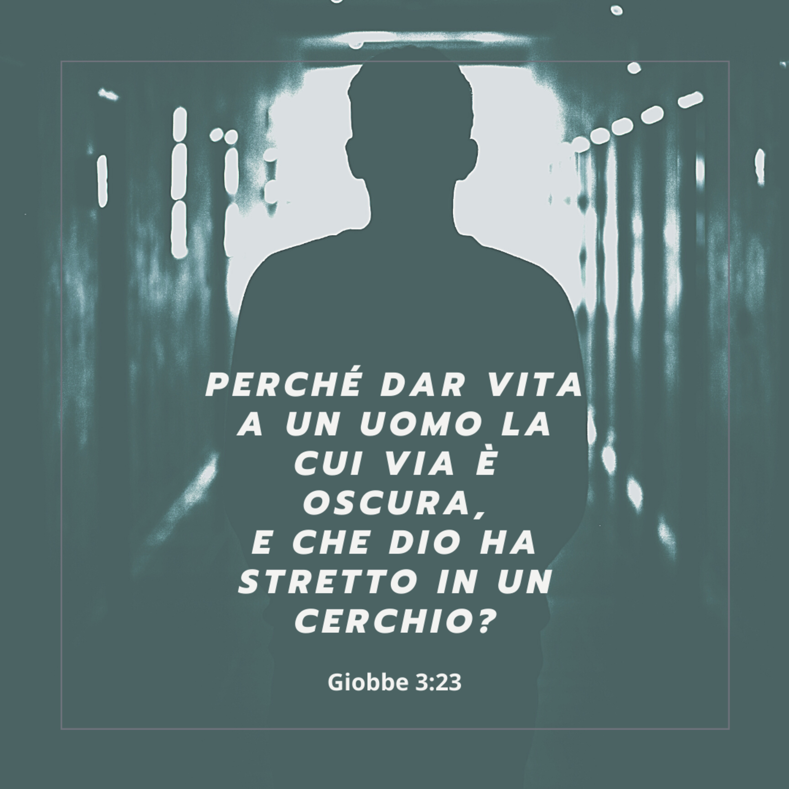 FIN DAL MATTINO