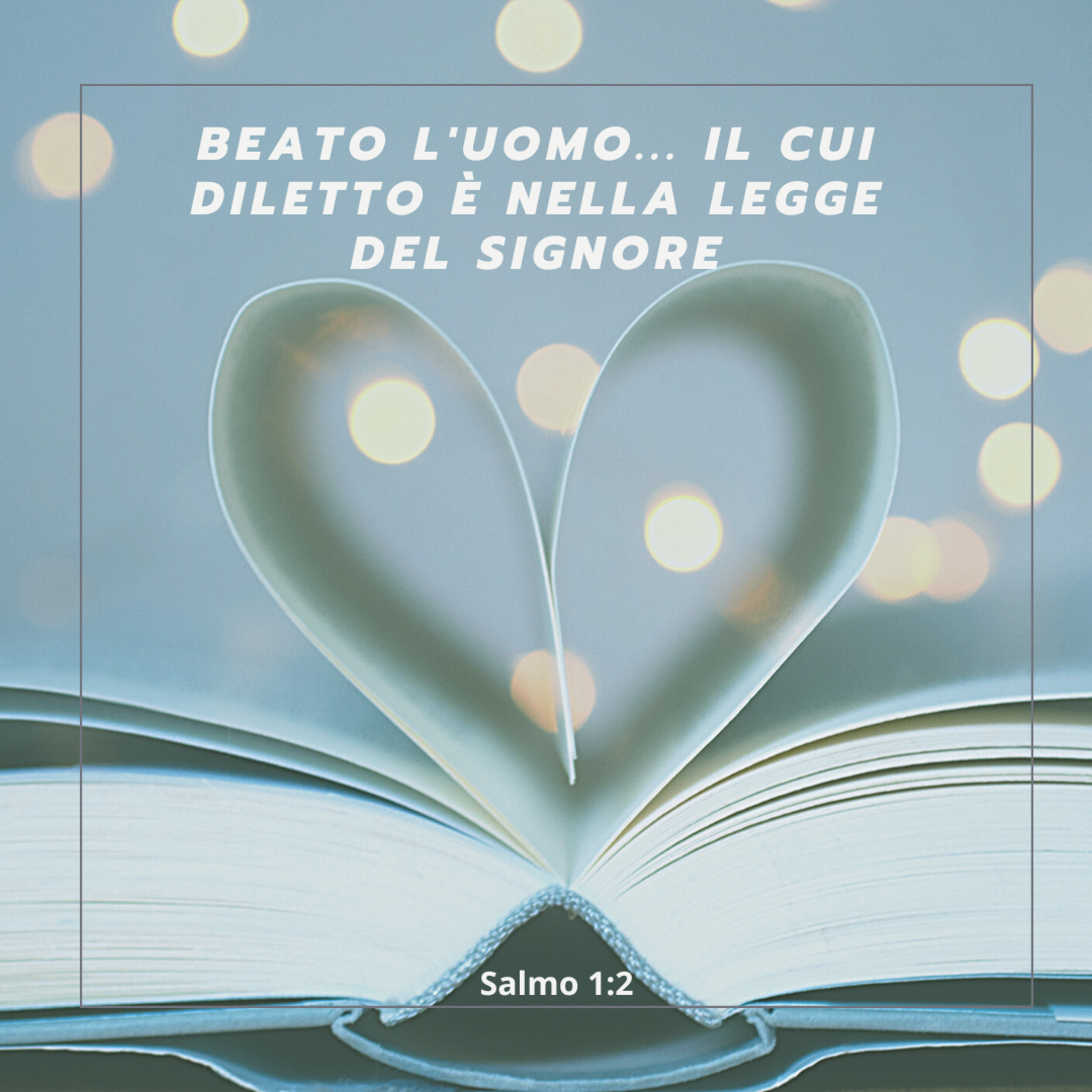 FIN DAL MATTINO