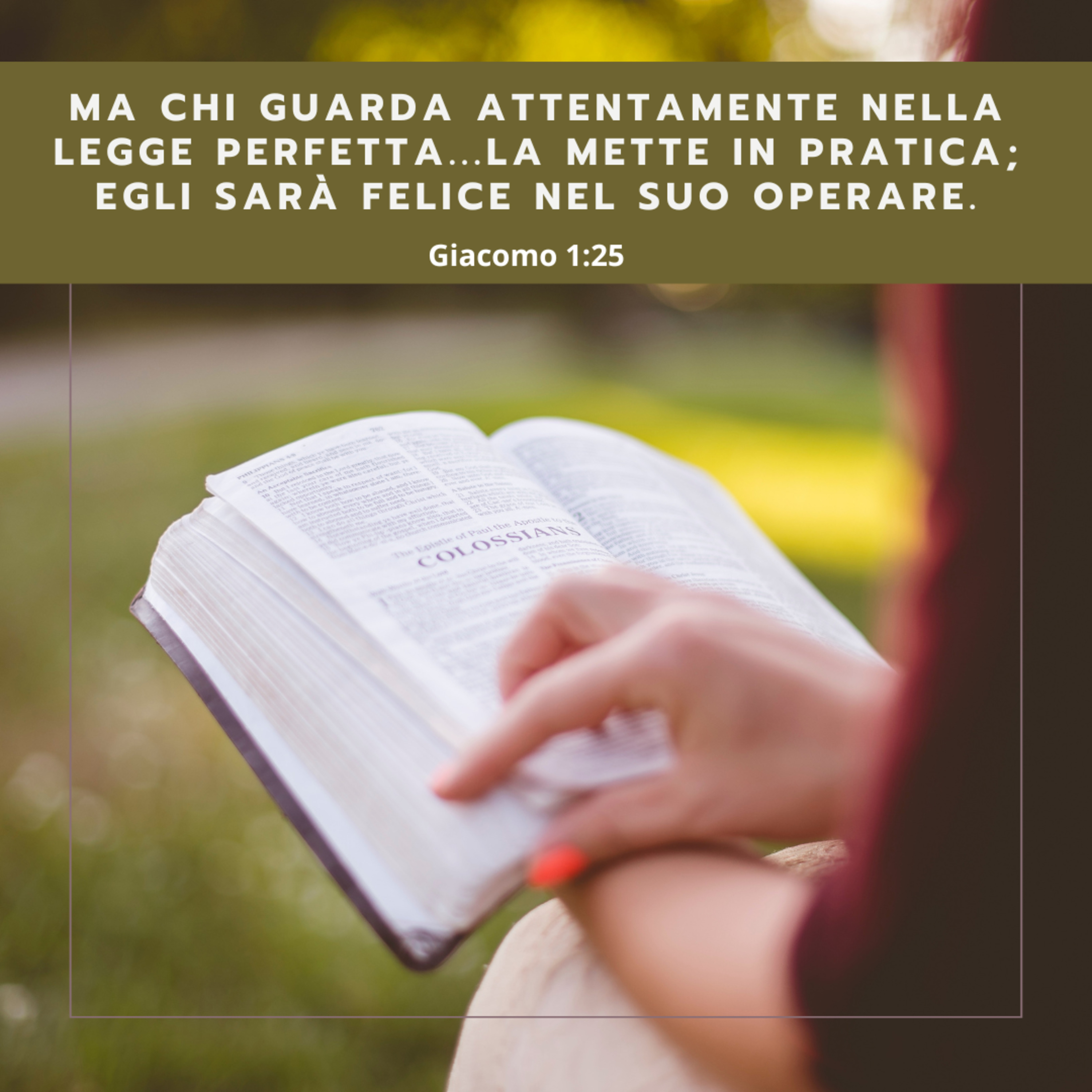 FIN DAL MATTINO