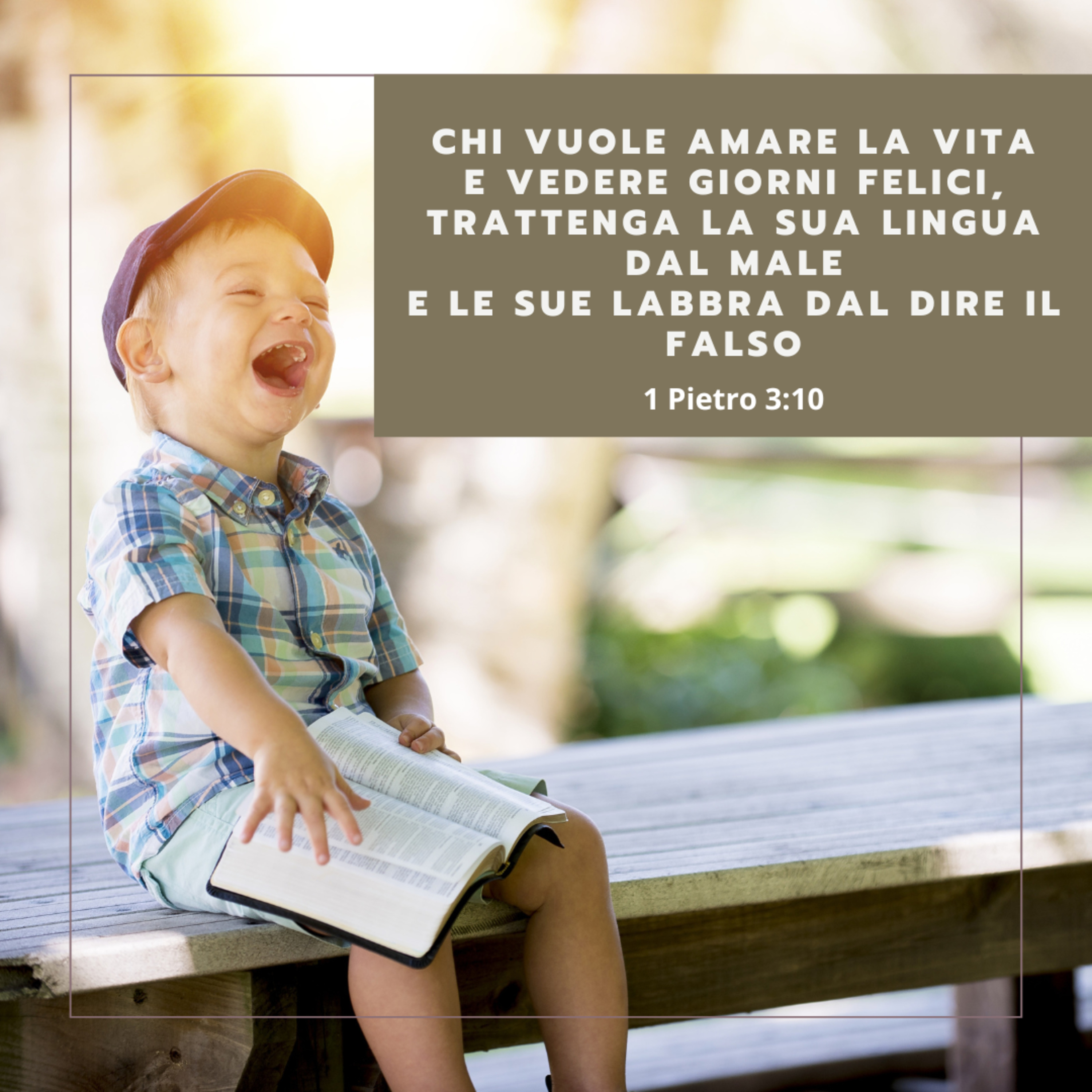 FIN DAL MATTINO