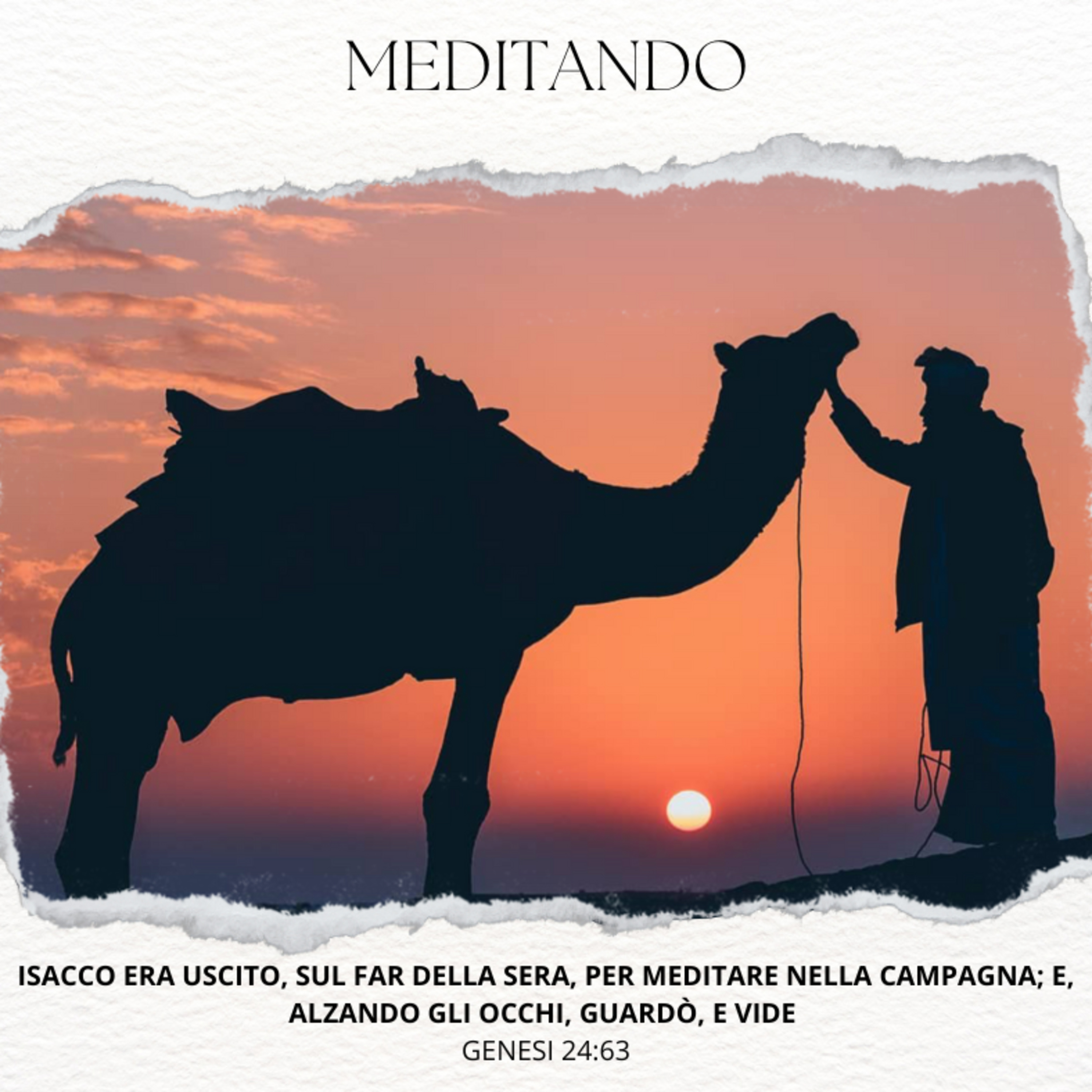 FIN DAL MATTINO