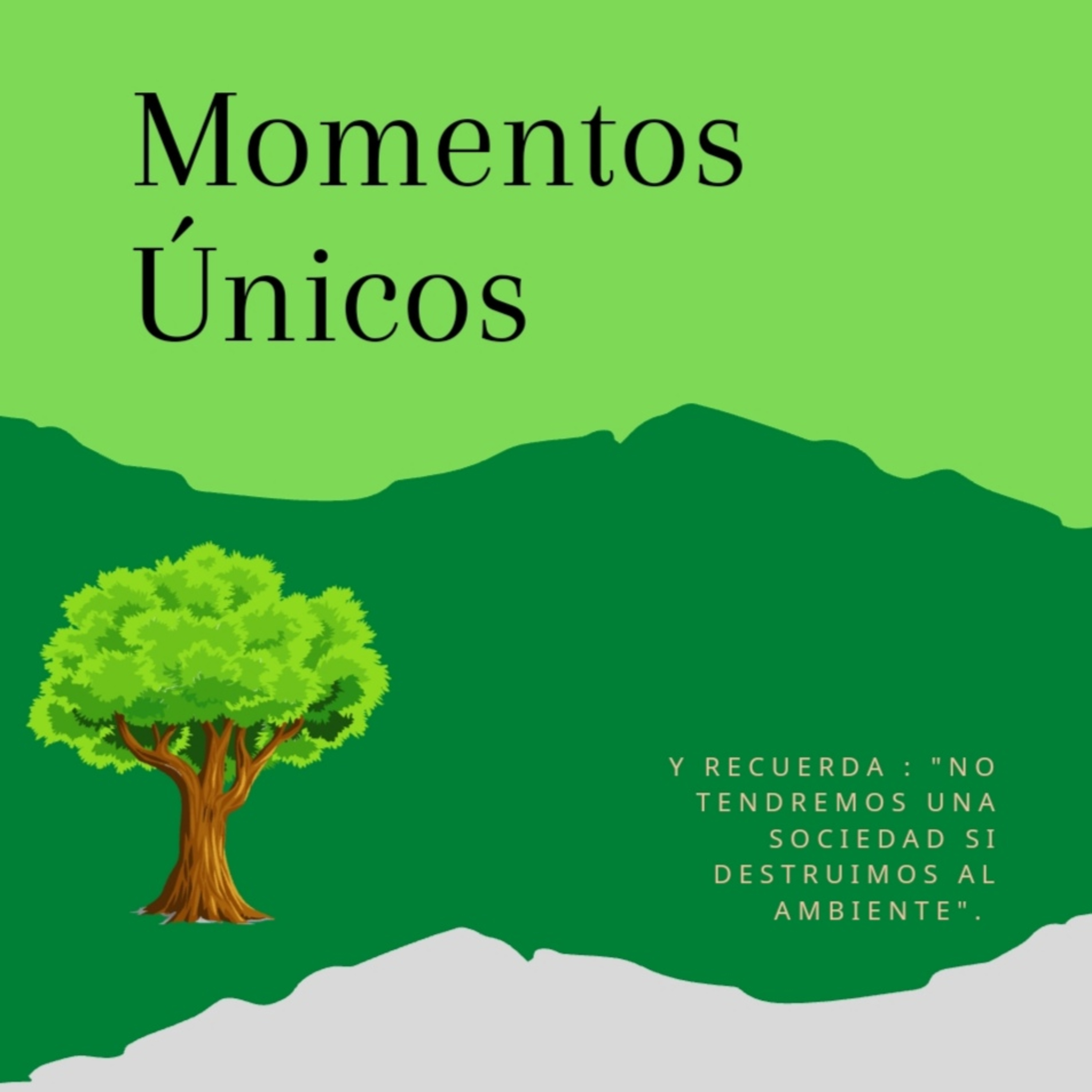 El medio ambiente