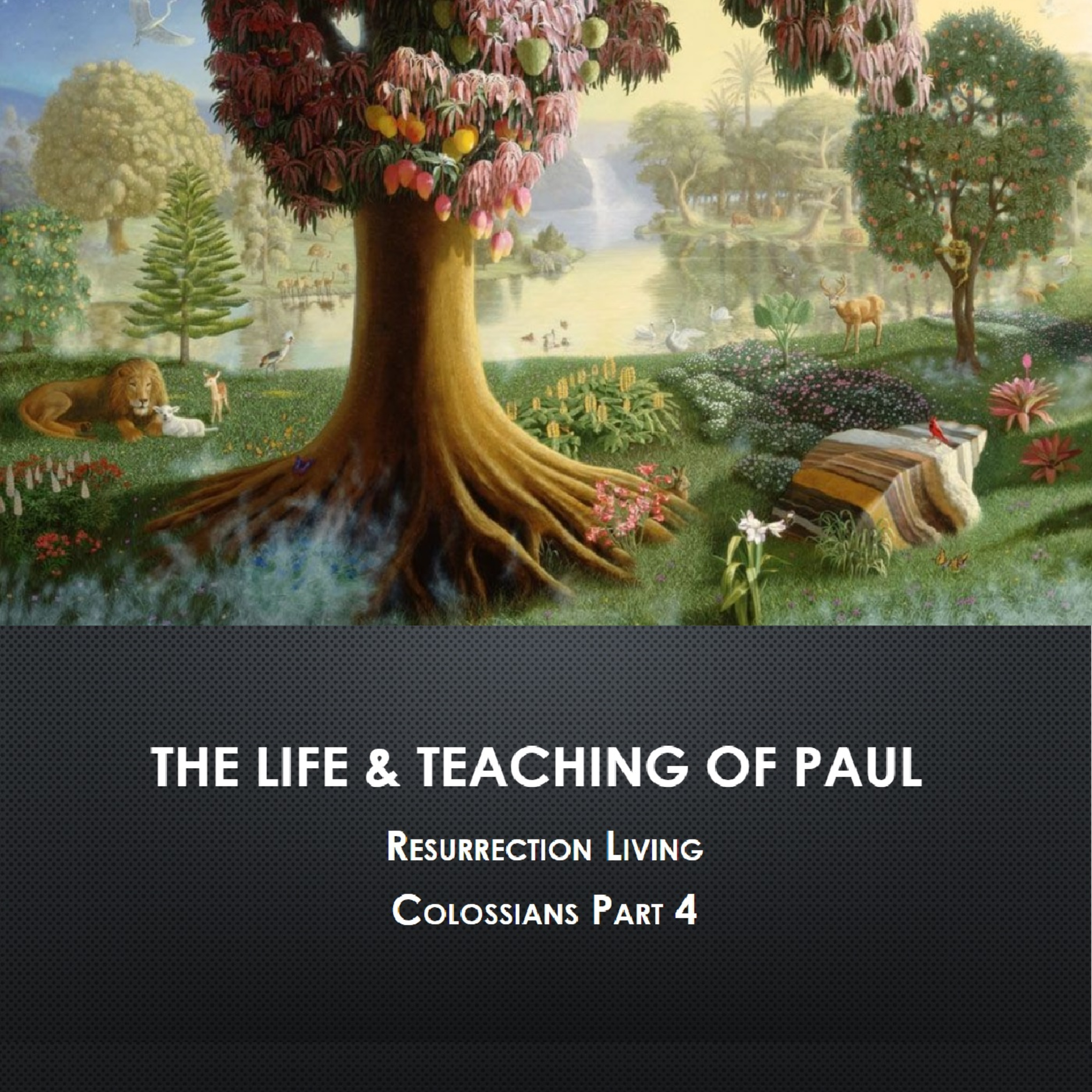 Biblical Foundations