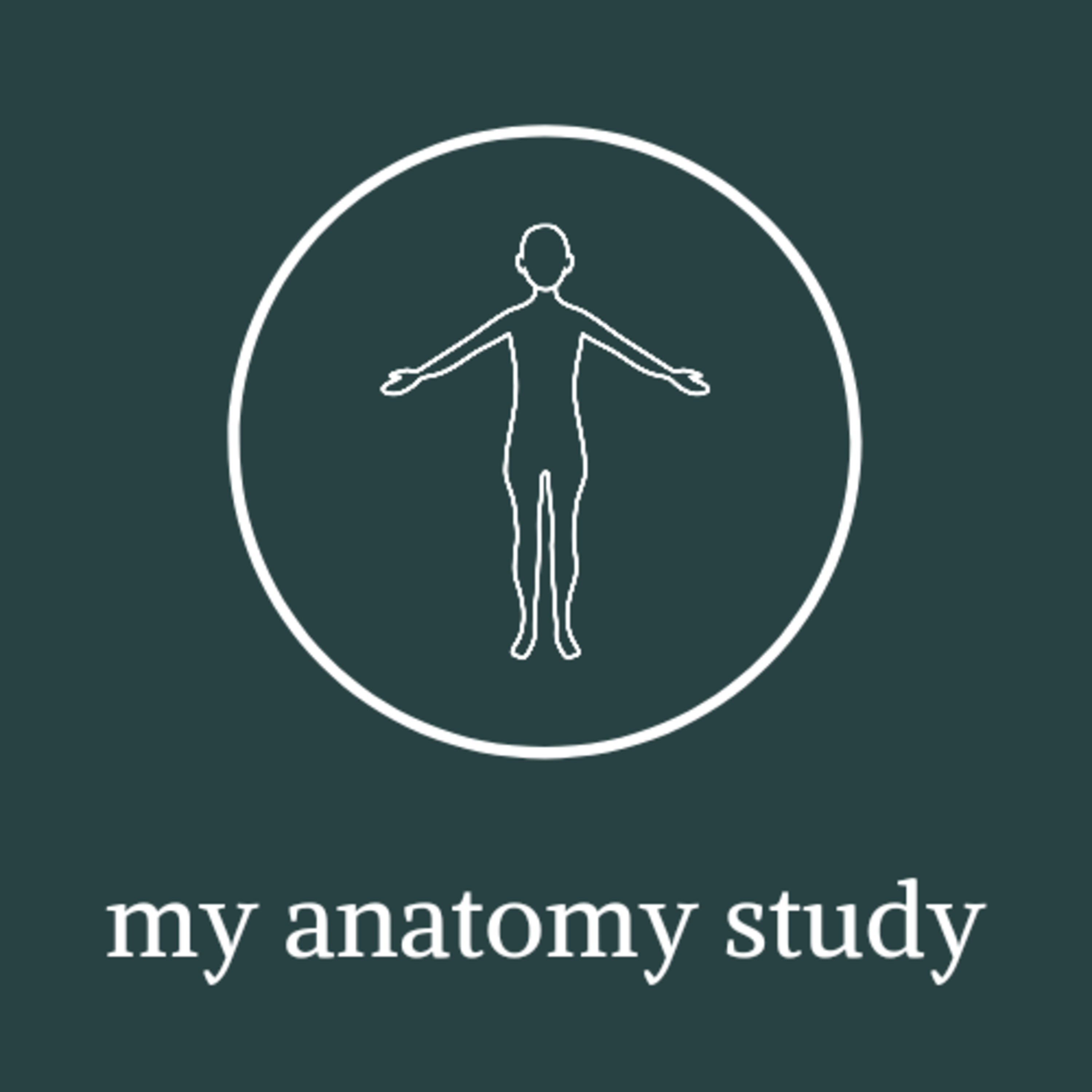 anatomy basics episode artwork