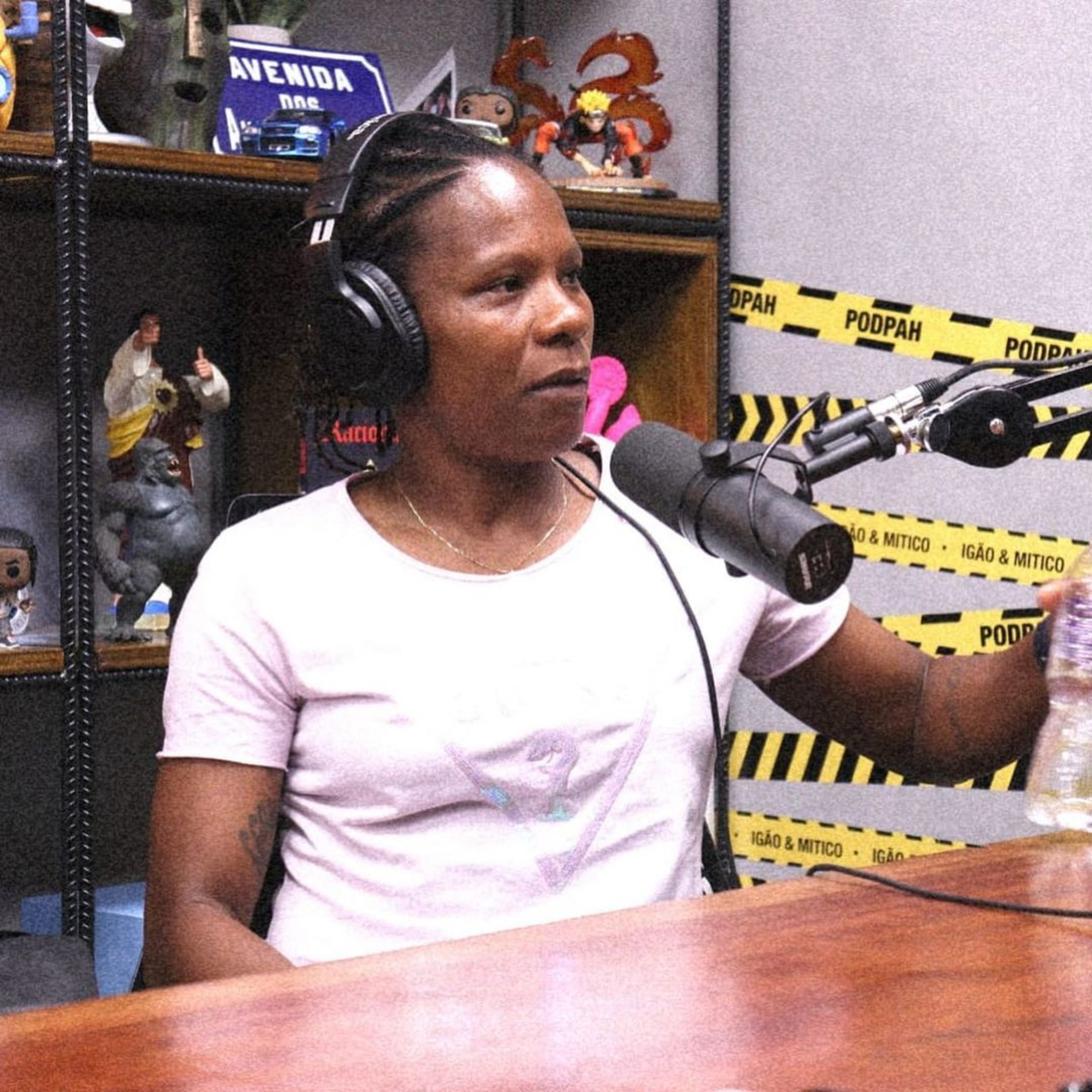 INÍCIO DE CARREIRA DE FORMIGA. episode artwork