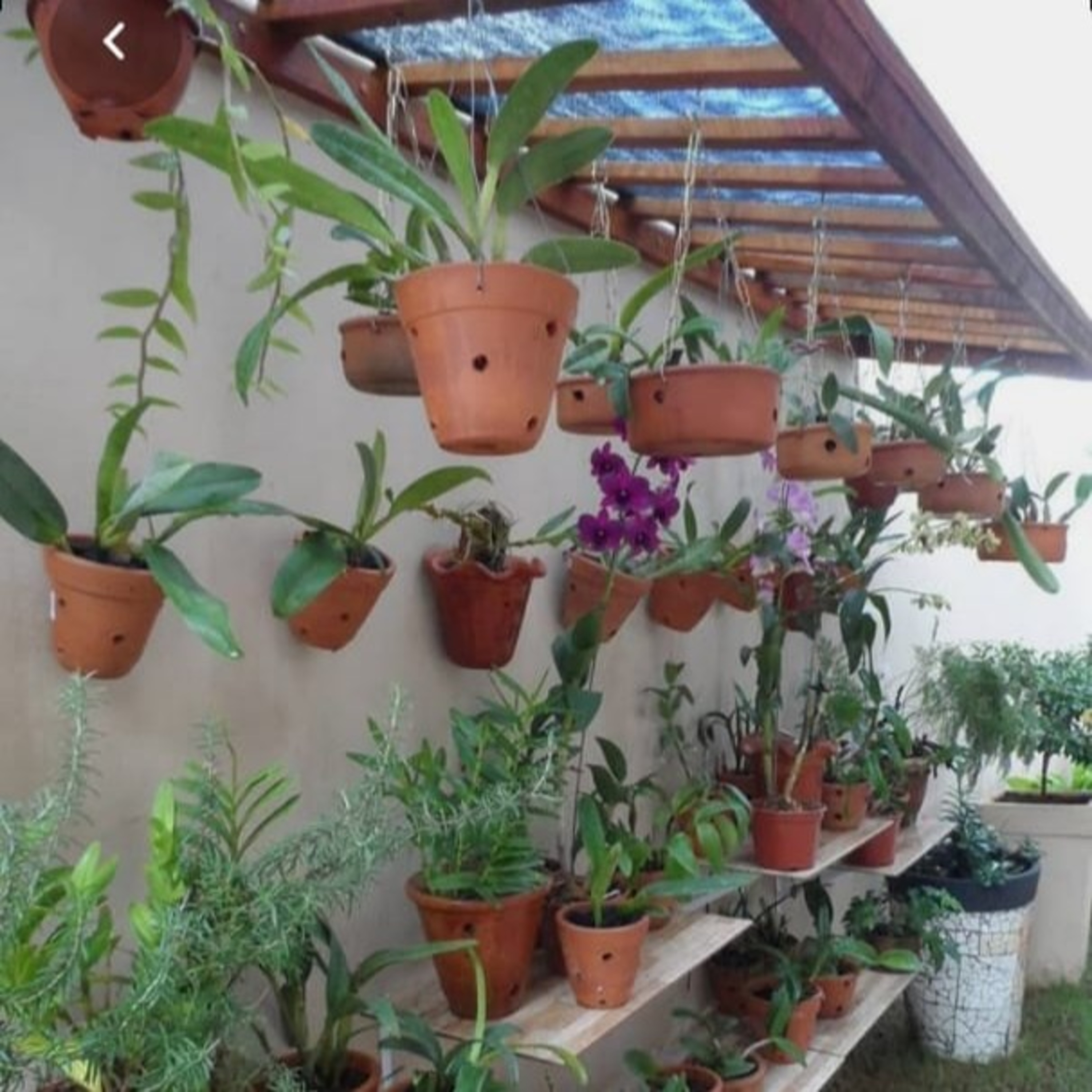 Fábula do rato da Cidade e o rato do Campo