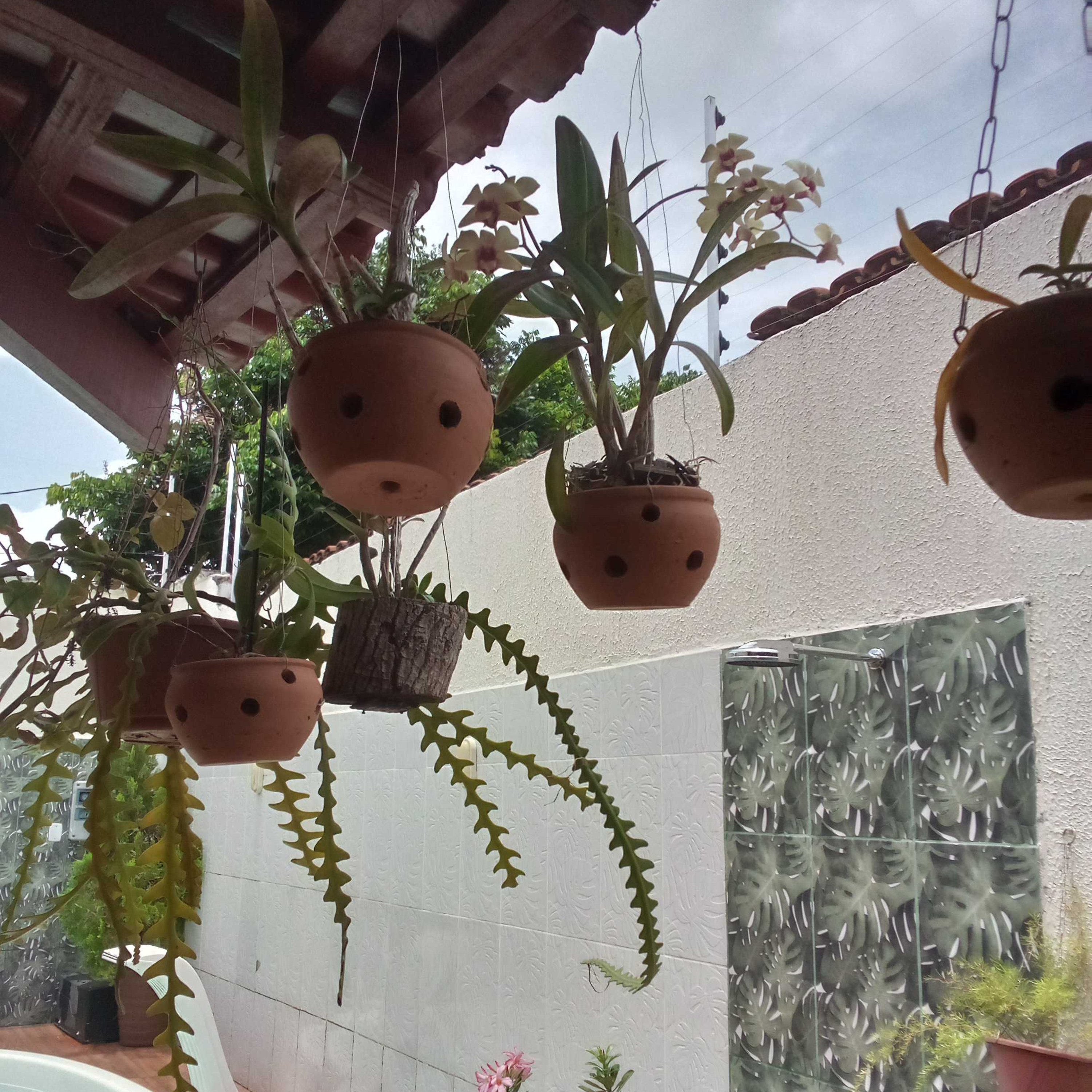 Fábula do rato da Cidade e o rato do Campo