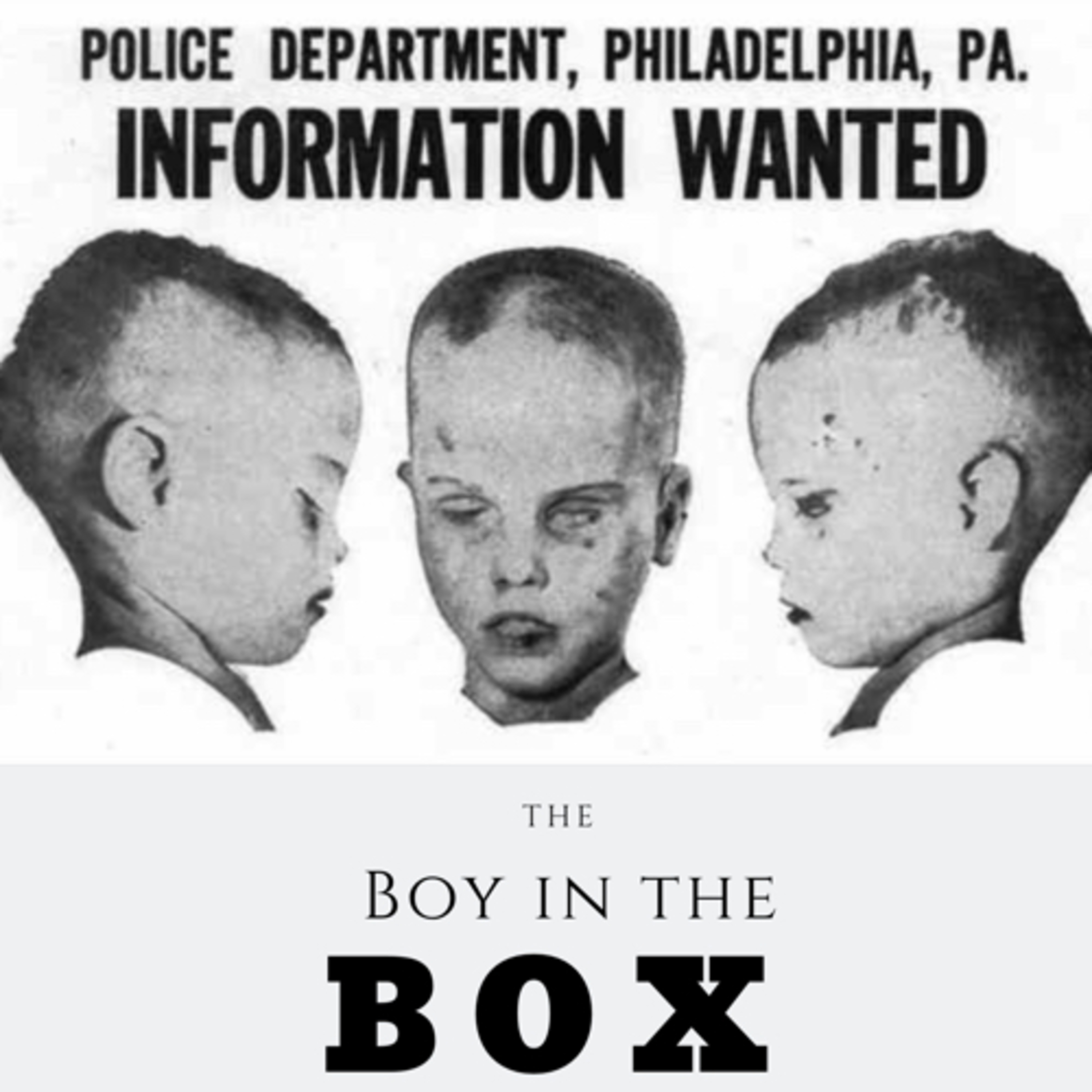 Bonus 4 || Boy in the Box