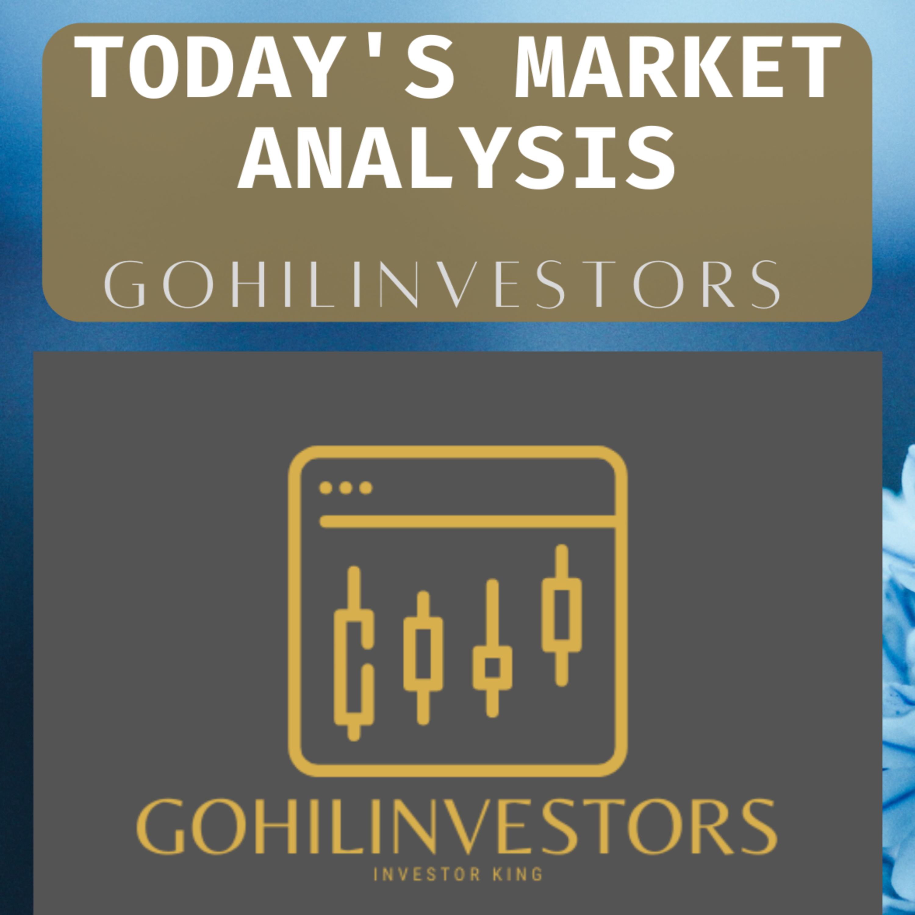 GOHILINVESTORS
