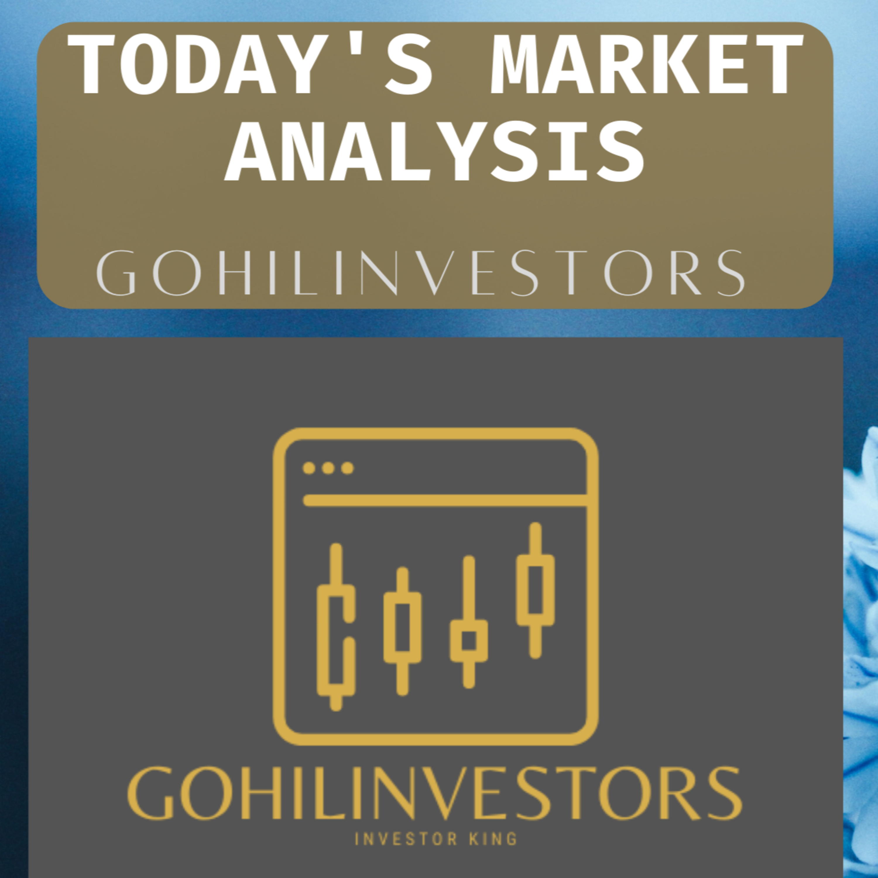GOHILINVESTORS