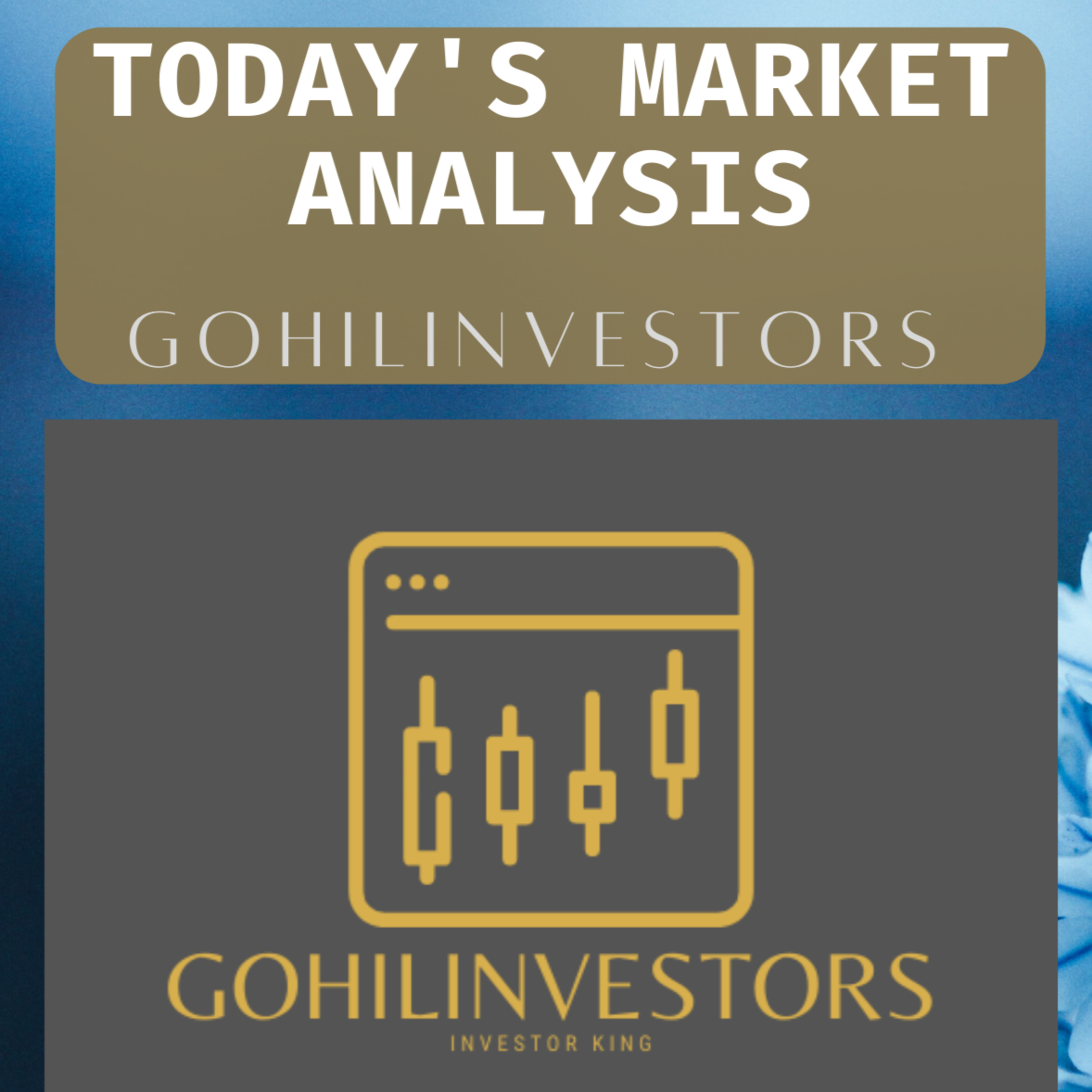 GOHILINVESTORS