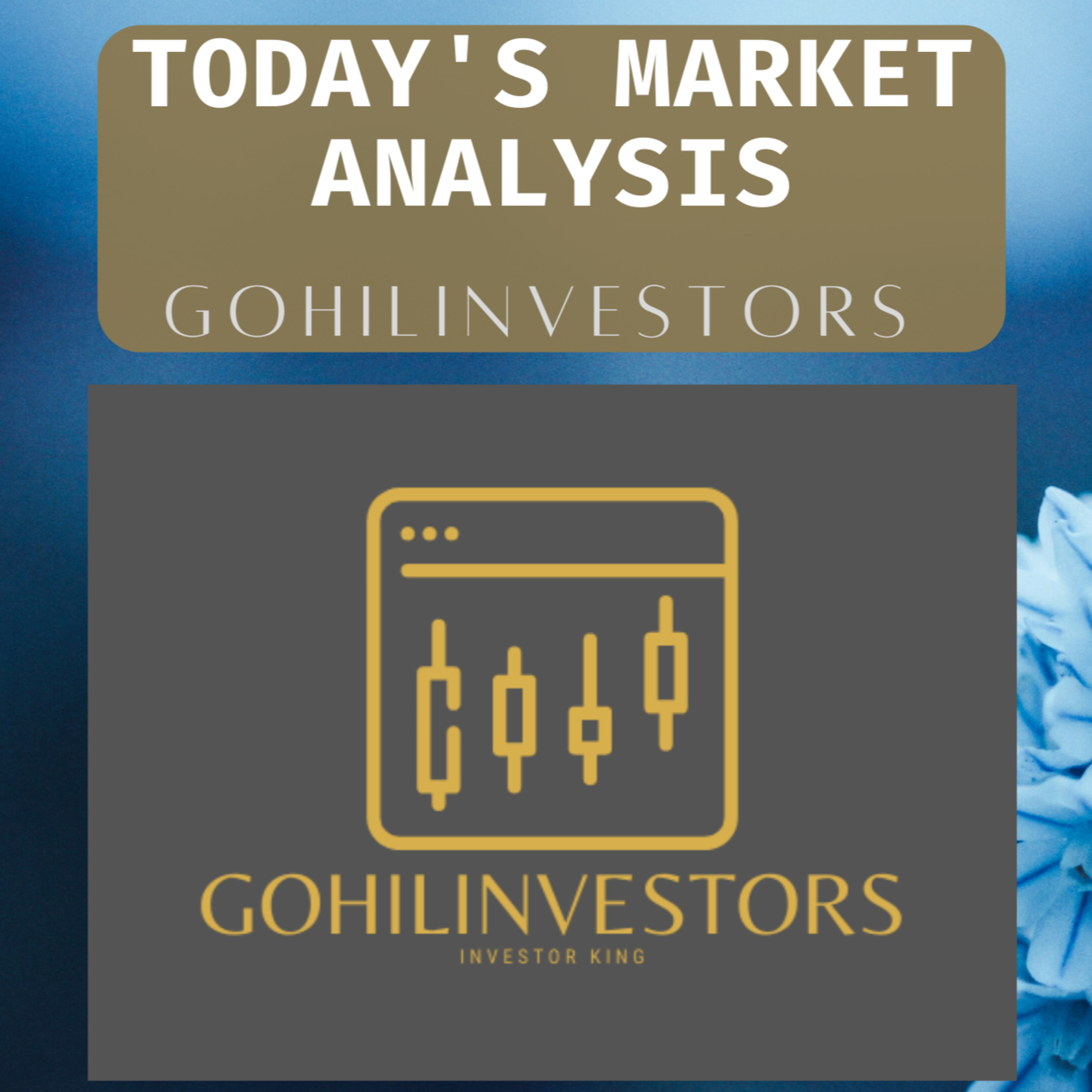 GOHILINVESTORS