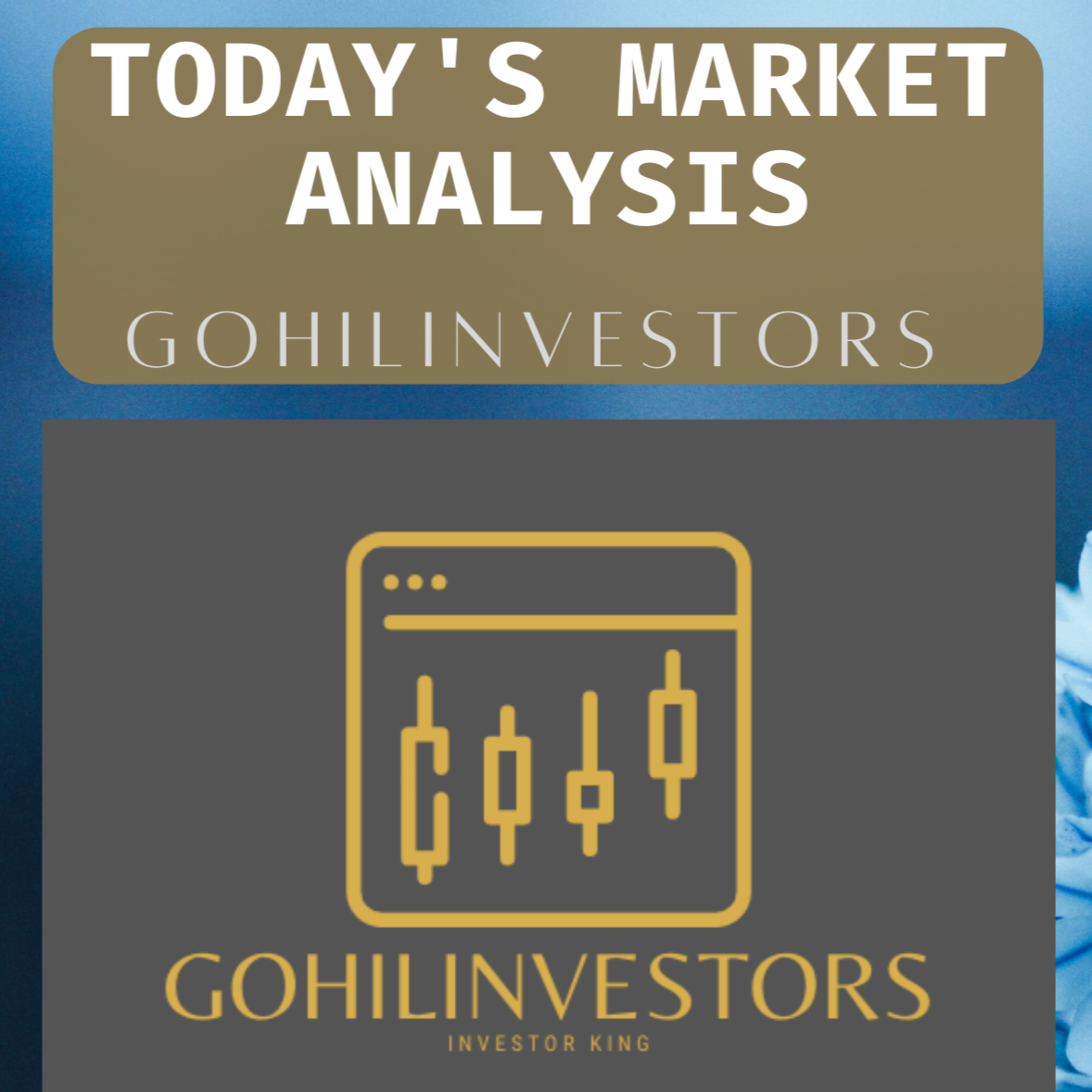 GOHILINVESTORS