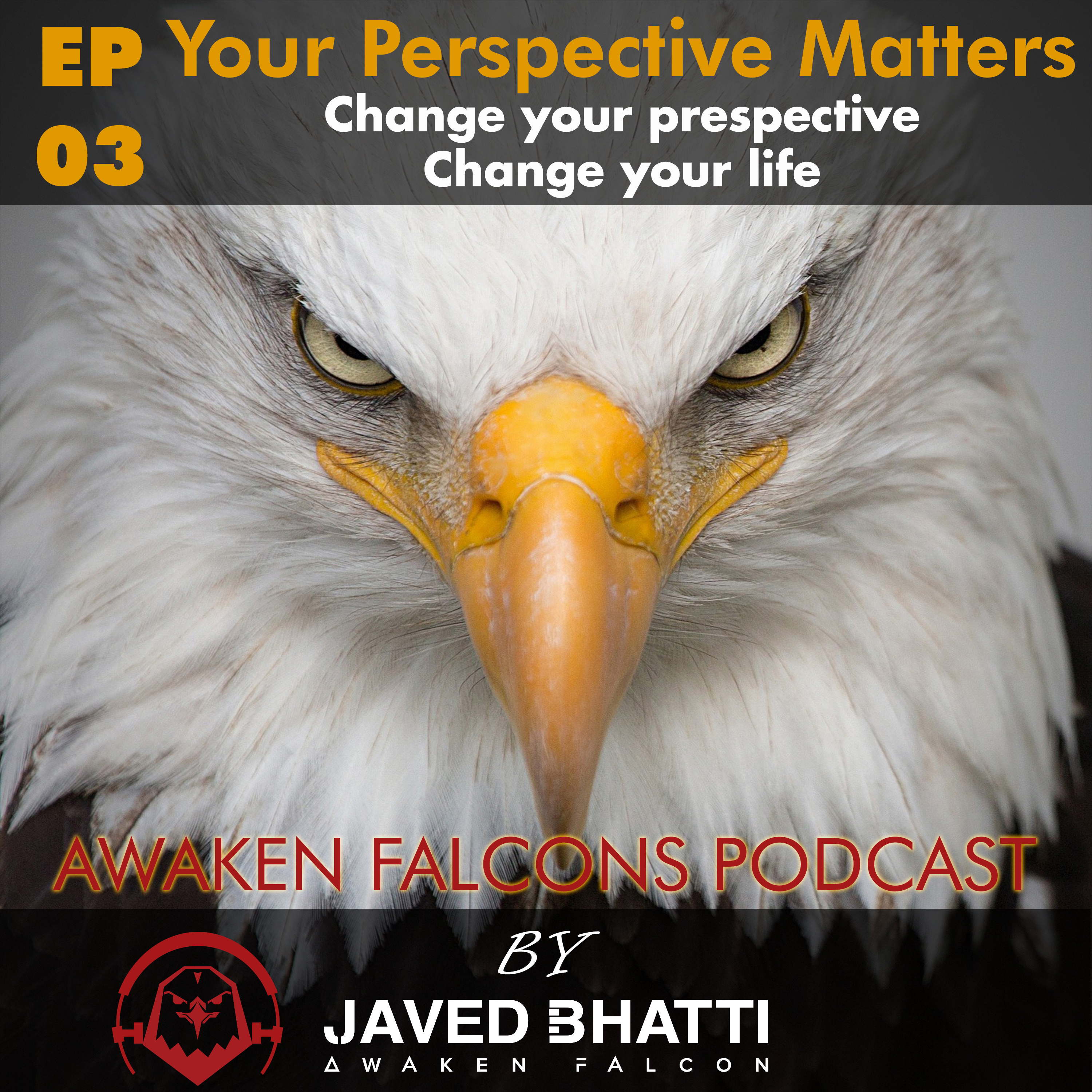 Awaken Falcons Podcast