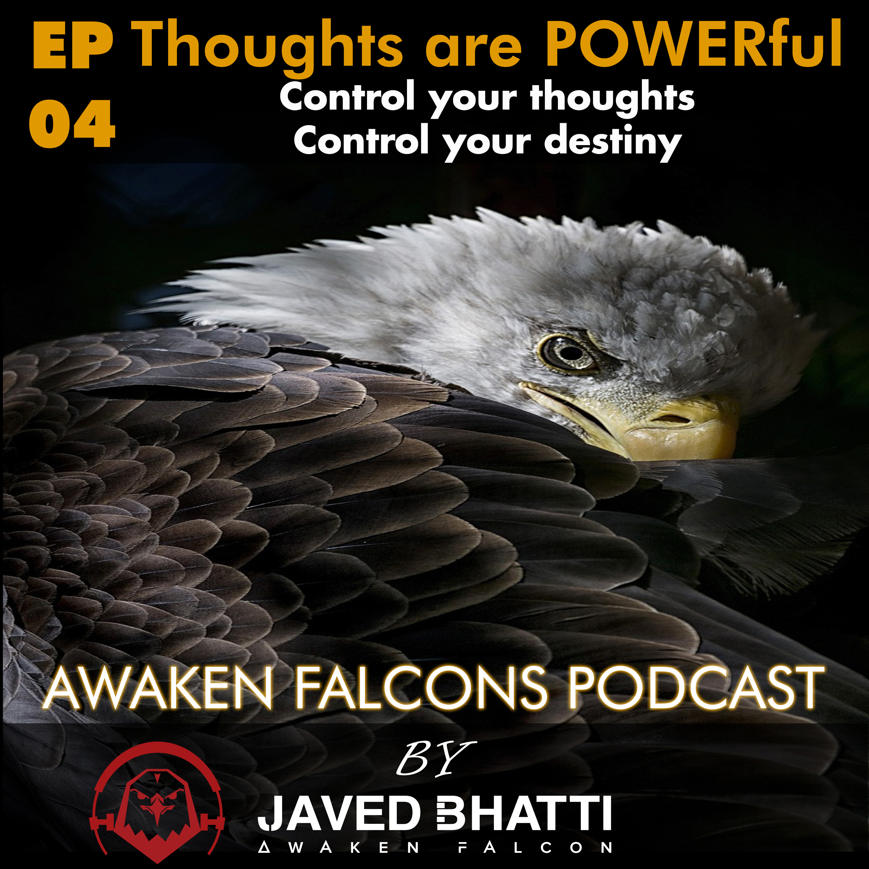 Awaken Falcons Podcast