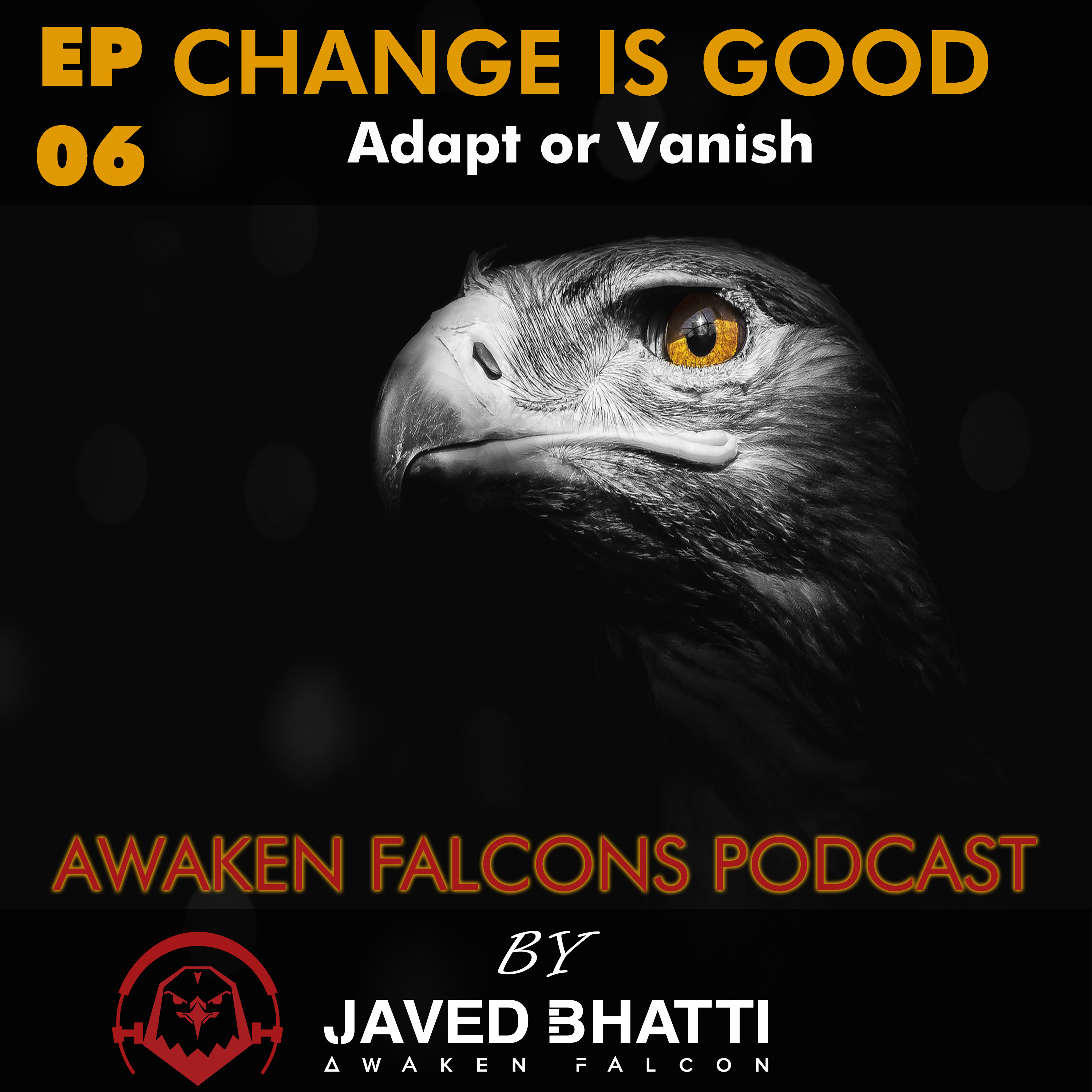 Awaken Falcons Podcast