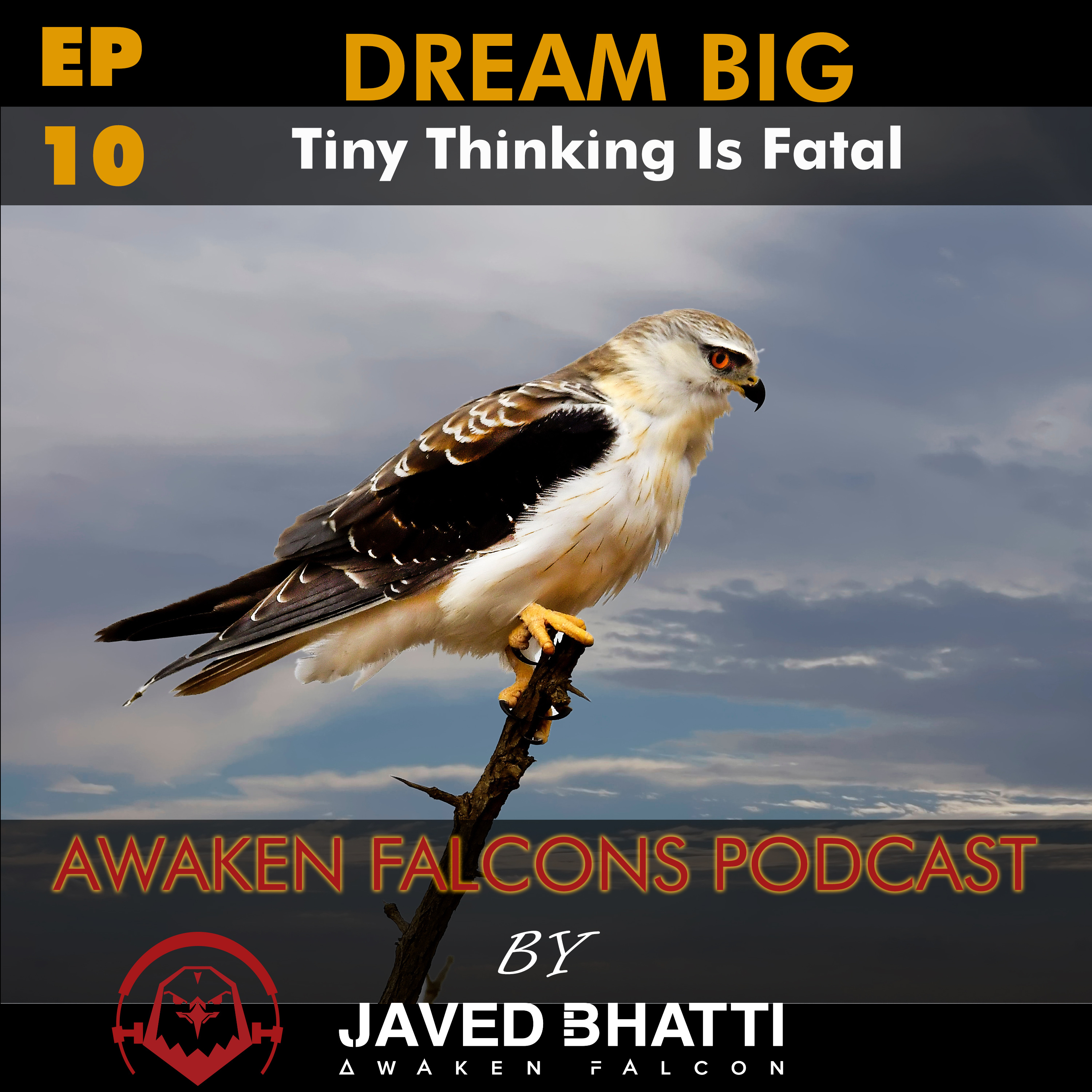 Awaken Falcons Podcast