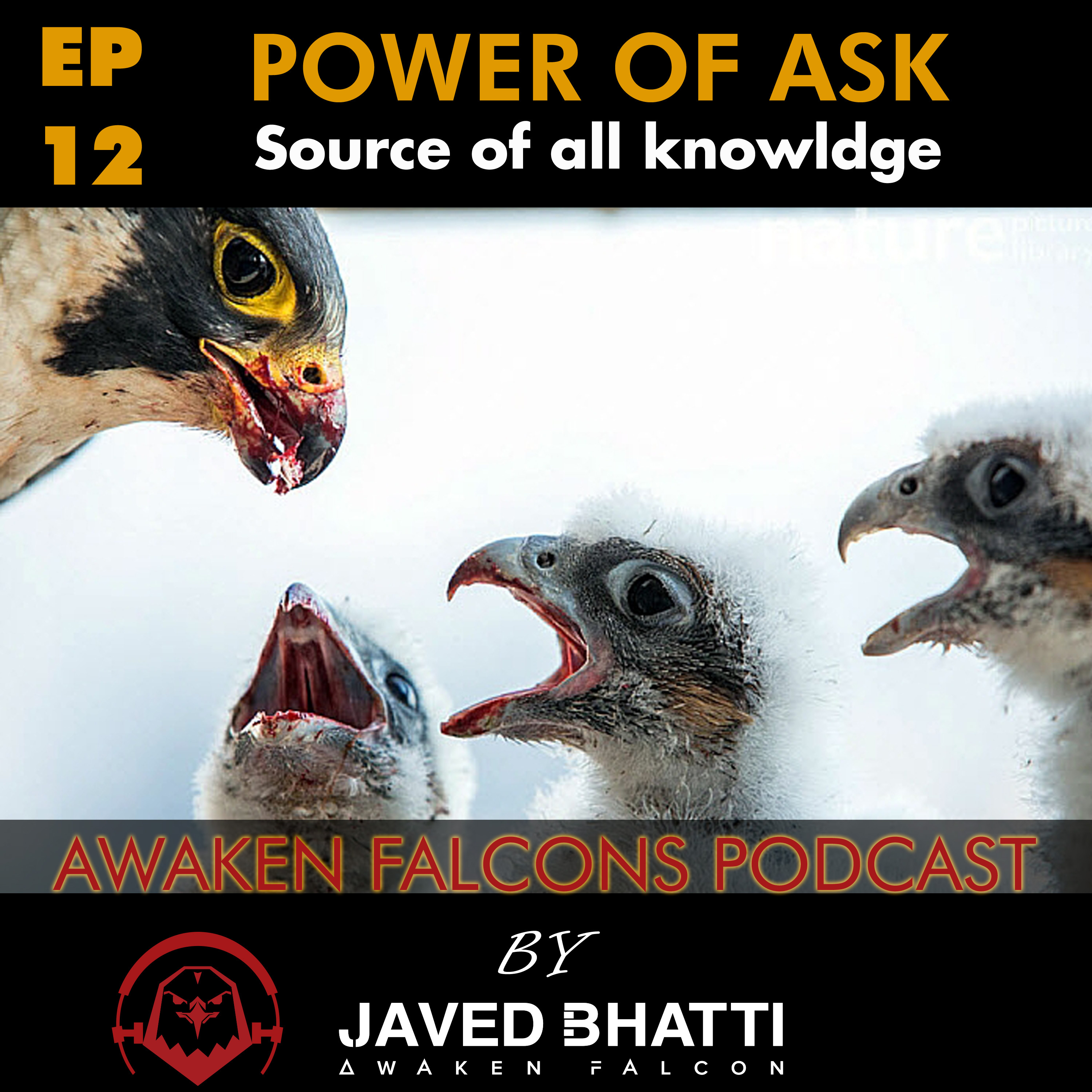 Awaken Falcons Podcast