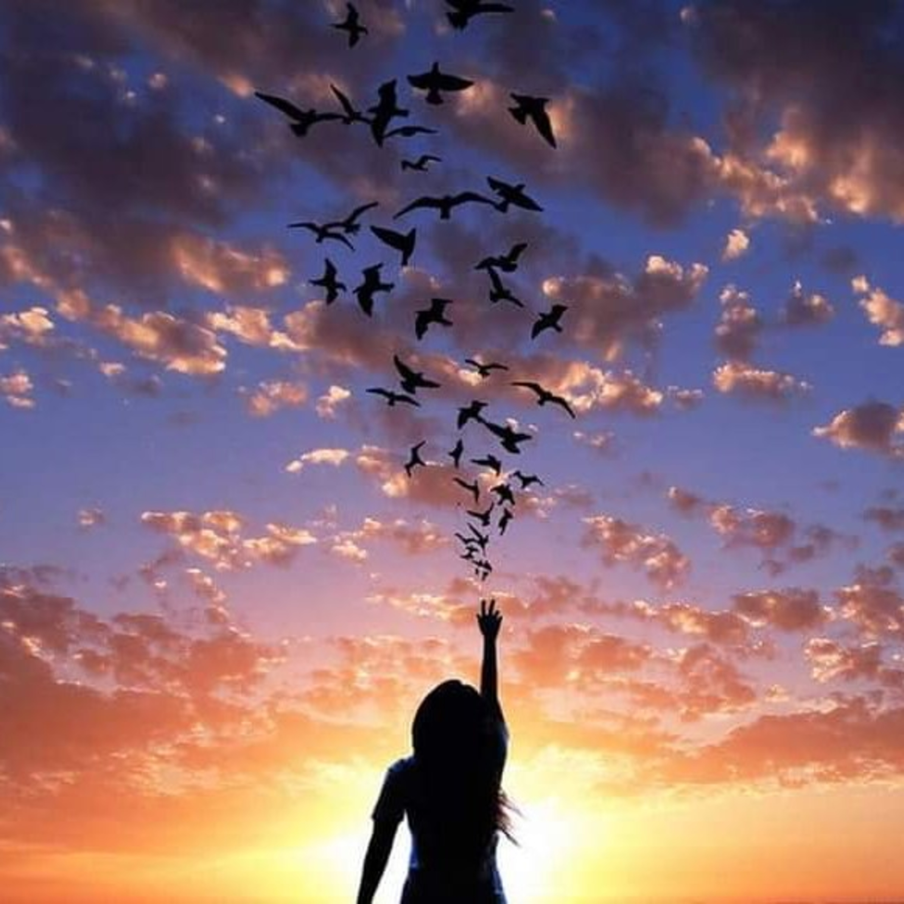 SPIRITUAL EVOLUTION