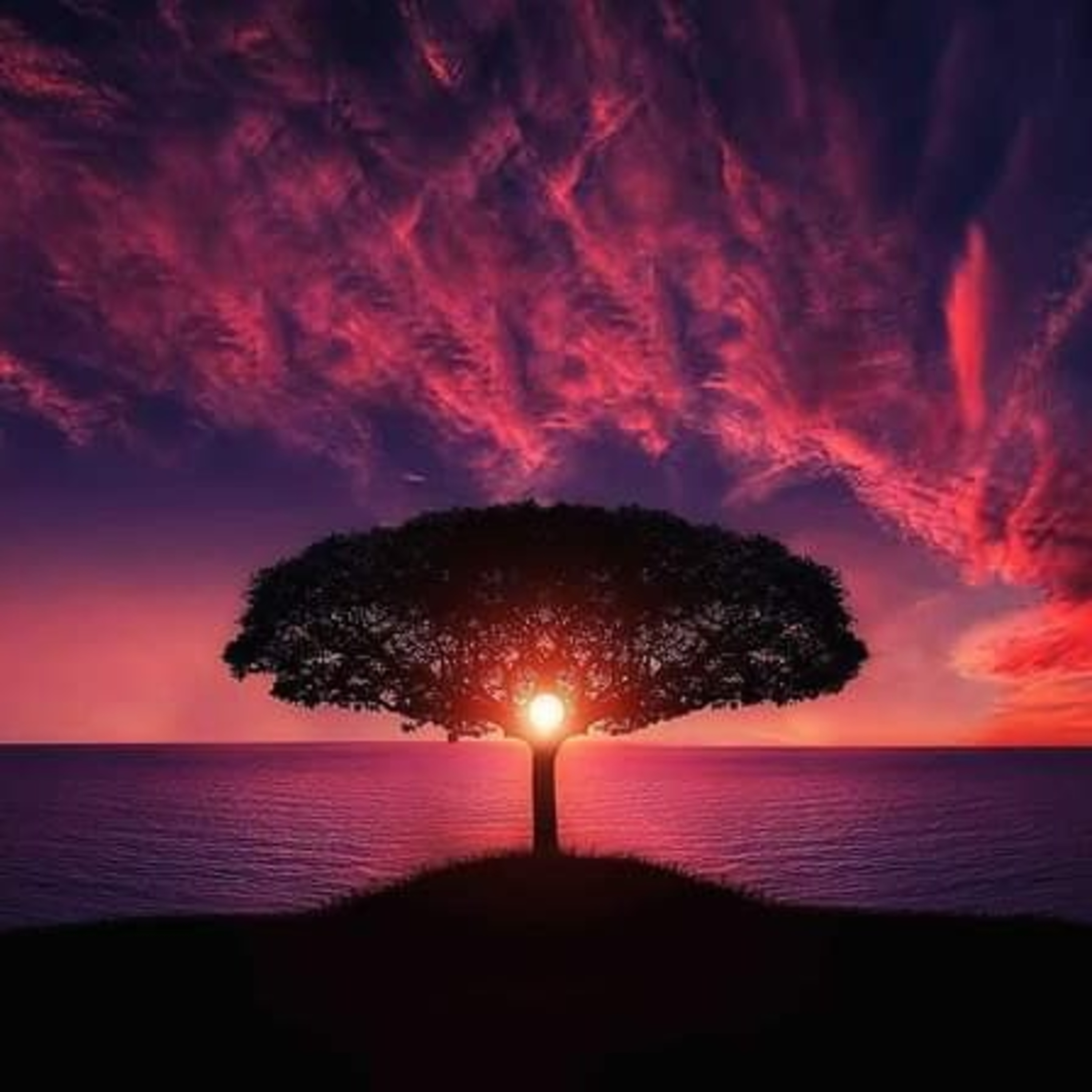 SPIRITUAL EVOLUTION