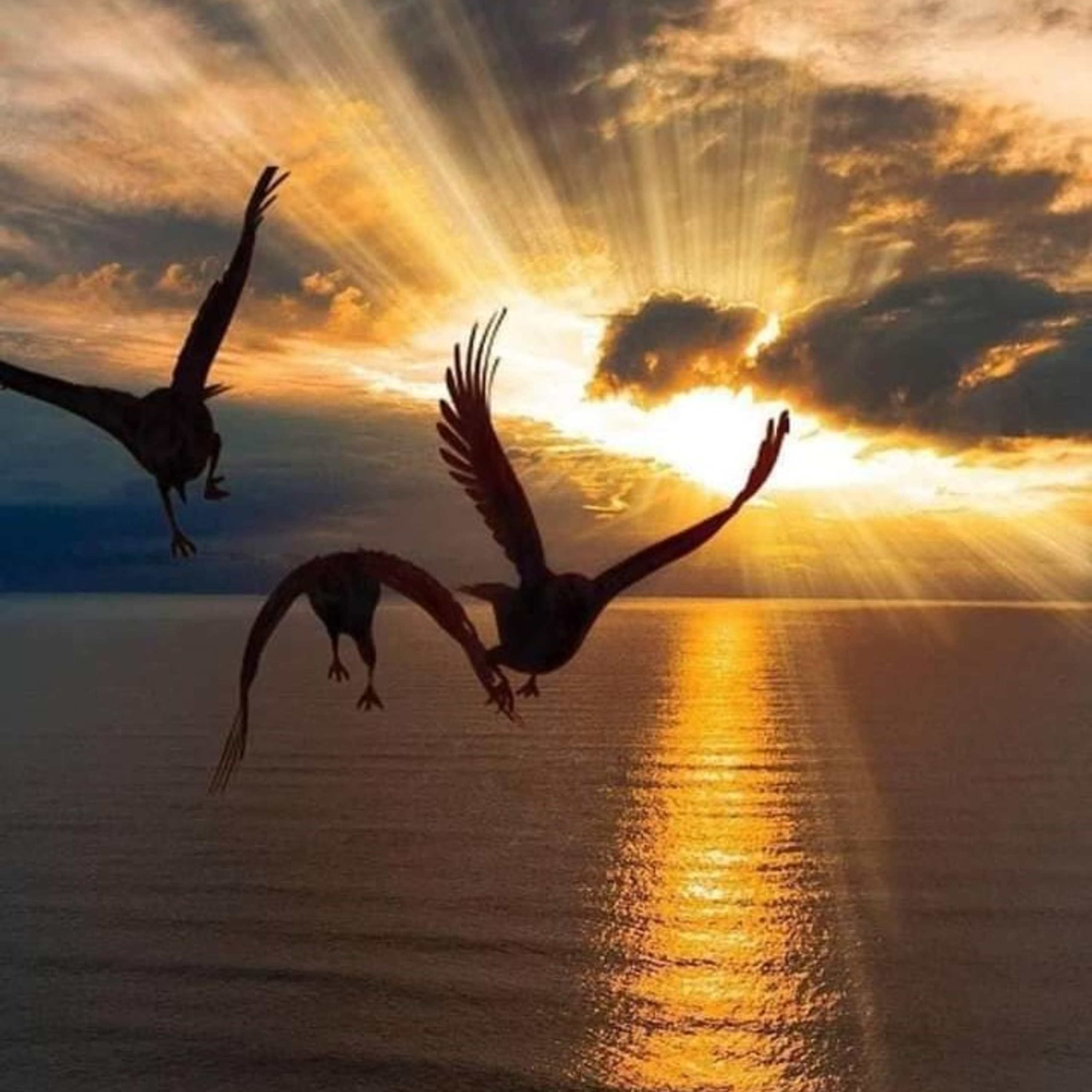SPIRITUAL EVOLUTION