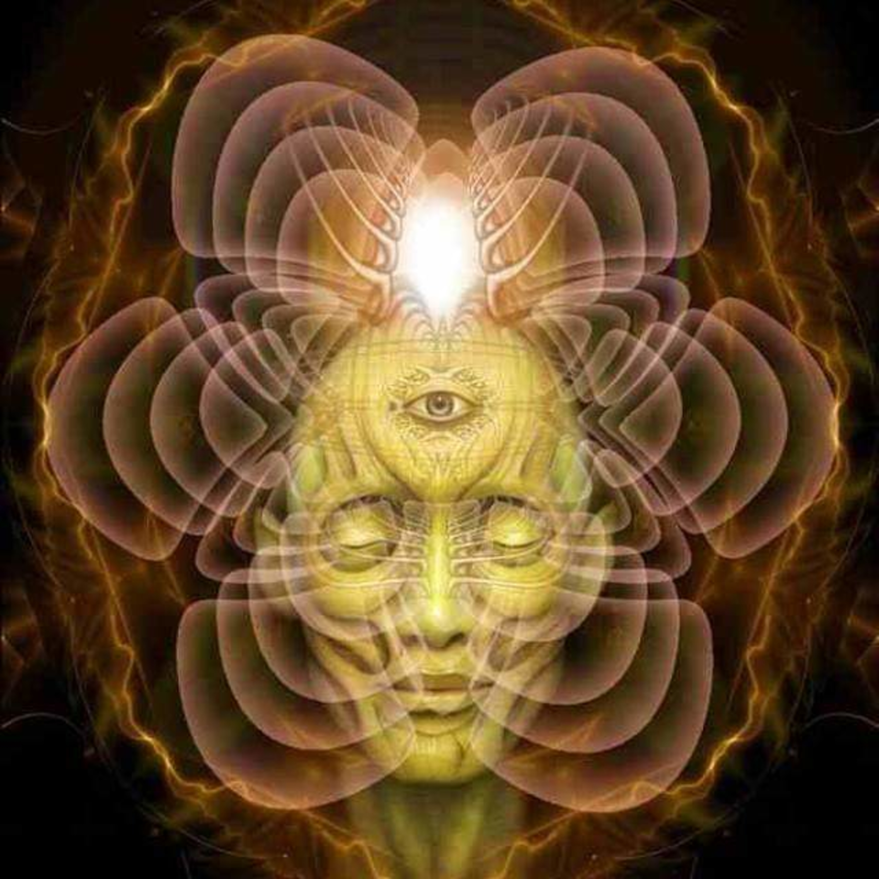SPIRITUAL EVOLUTION