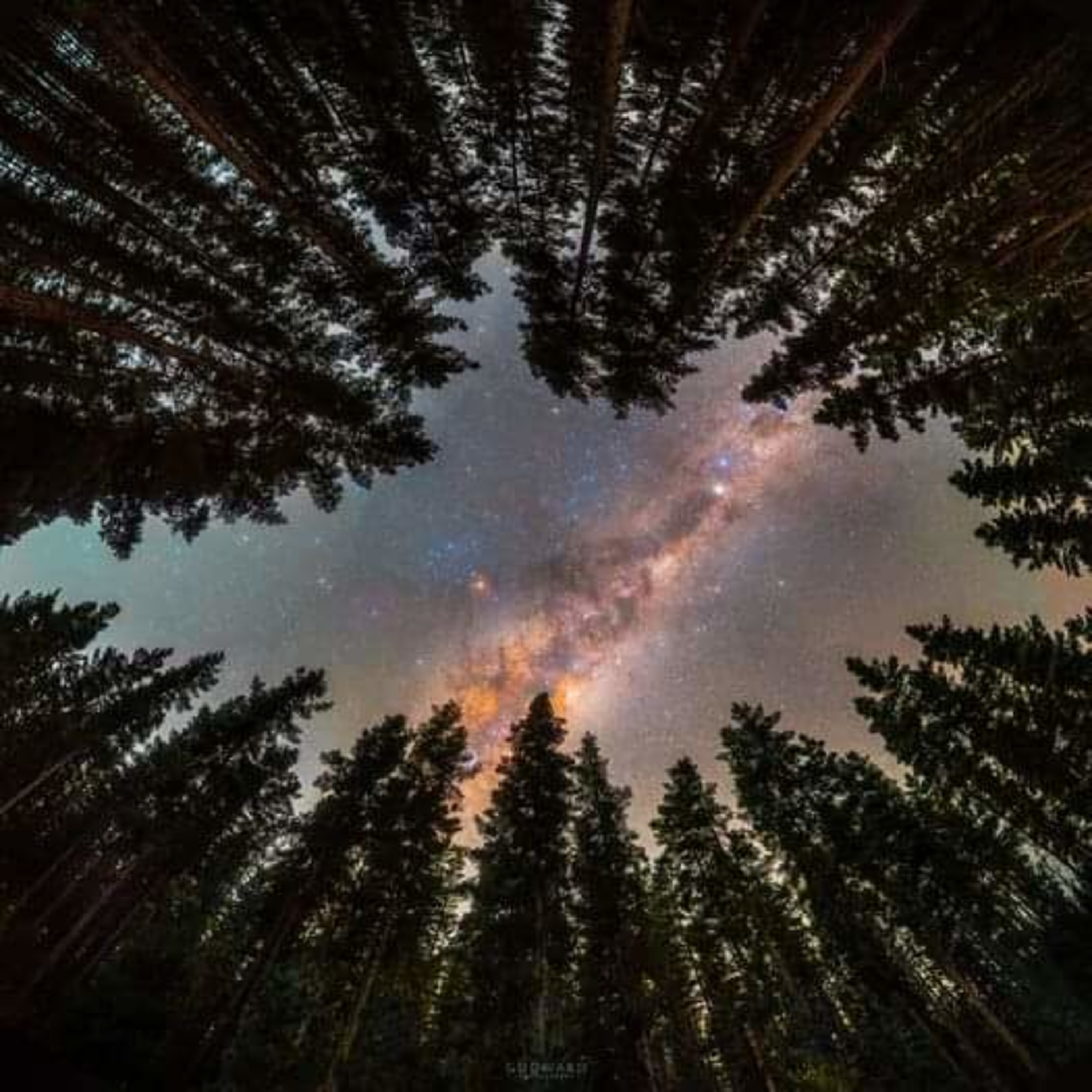 SPIRITUAL EVOLUTION