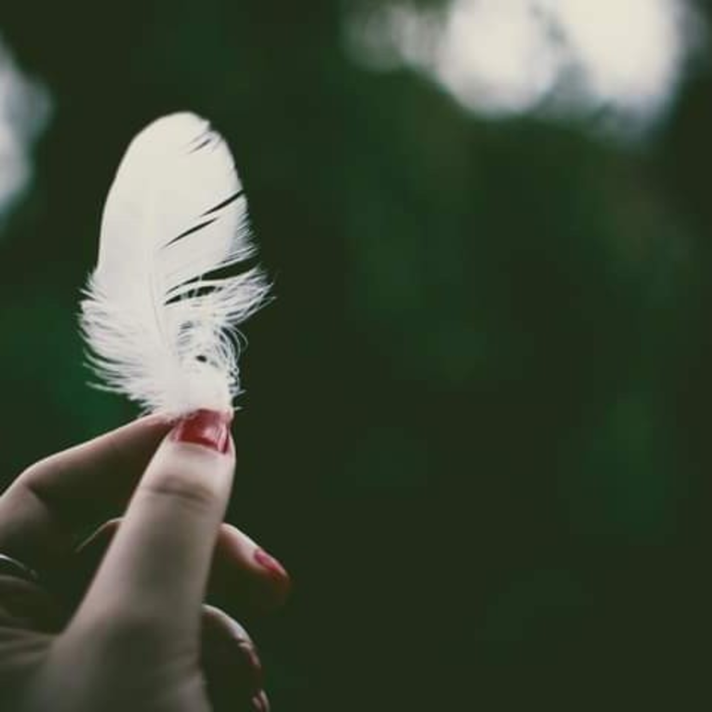SPIRITUAL EVOLUTION