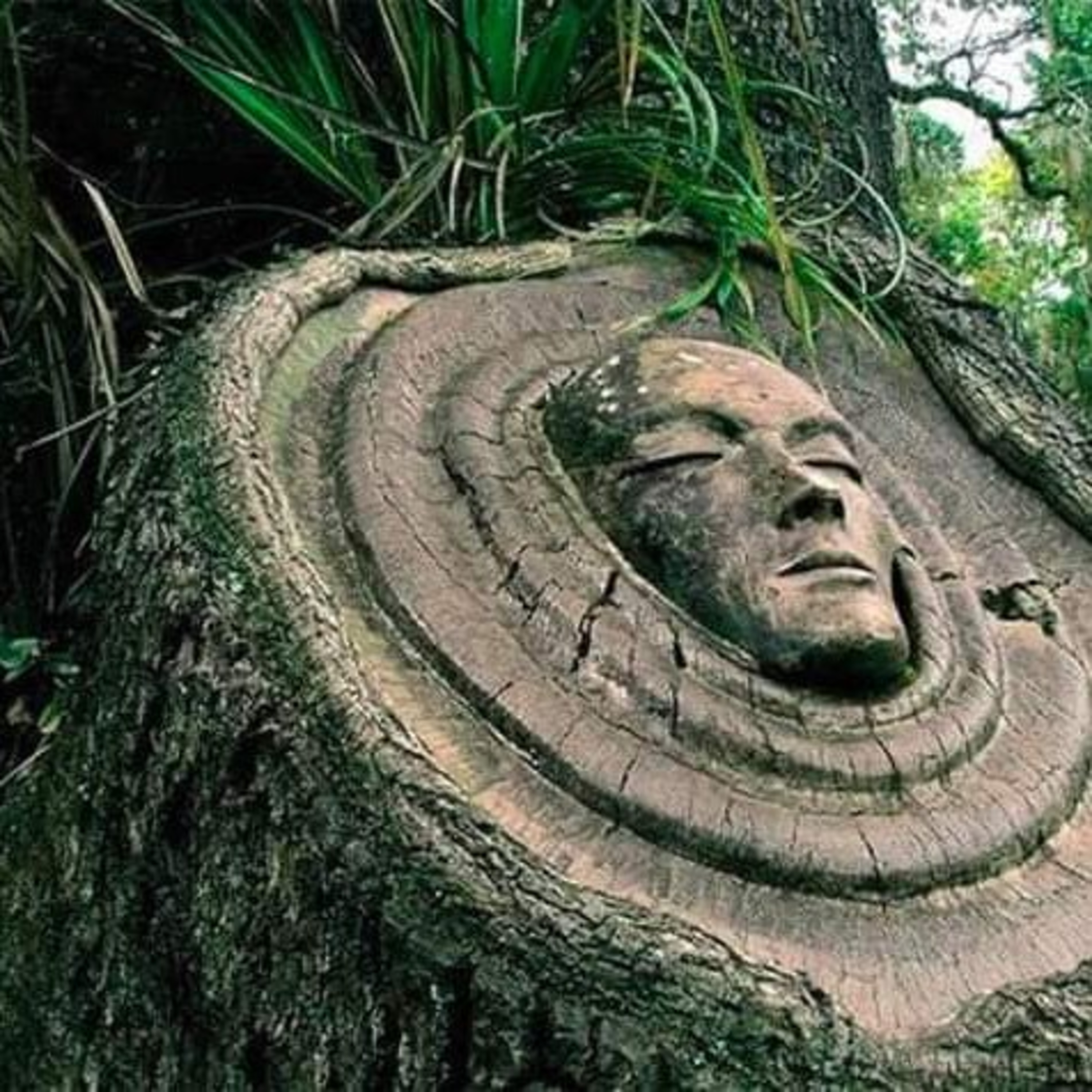 SPIRITUAL EVOLUTION