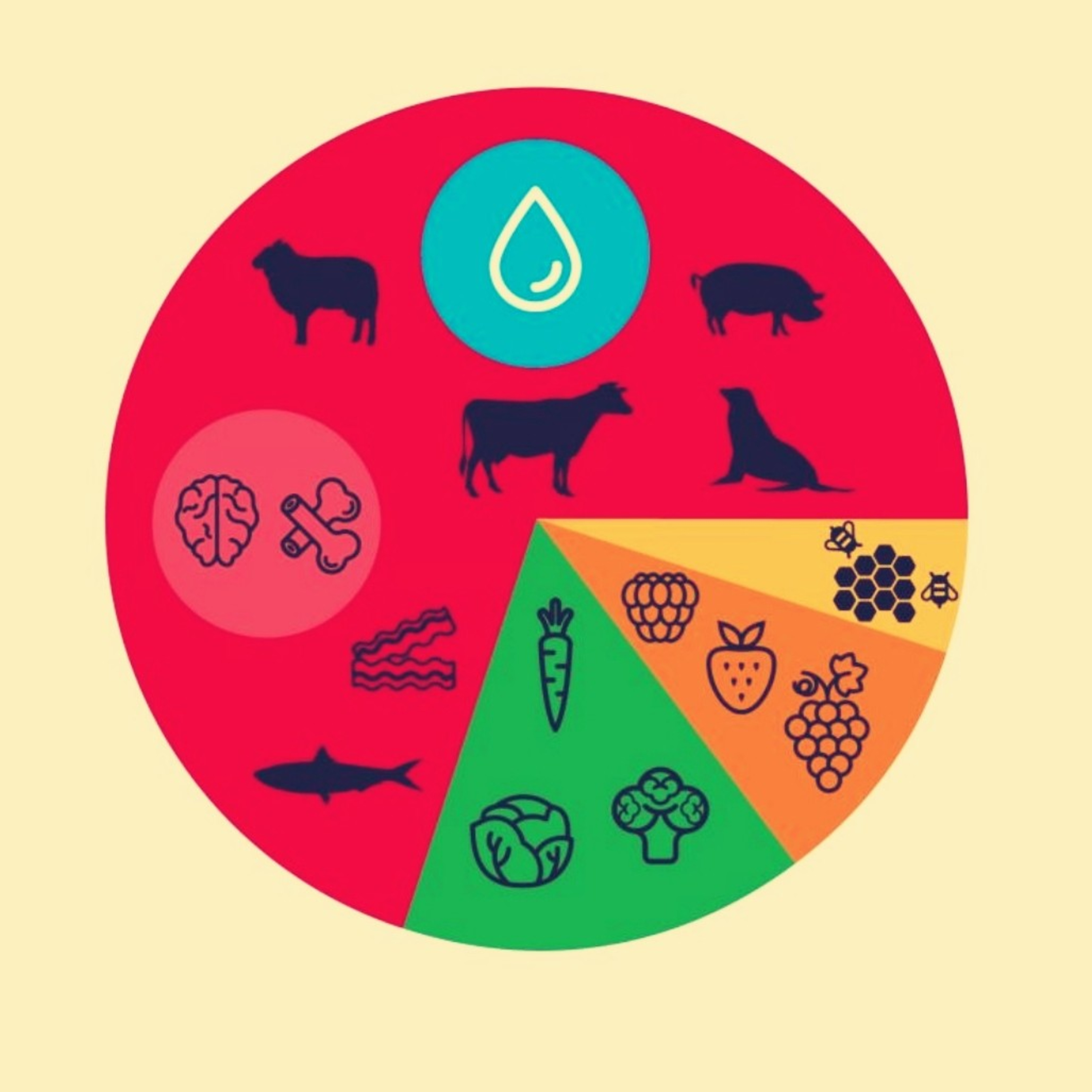 Nutrilyme. Reflexiones sobre nutrición en enfermedad de Lyme y patologías asociadas.