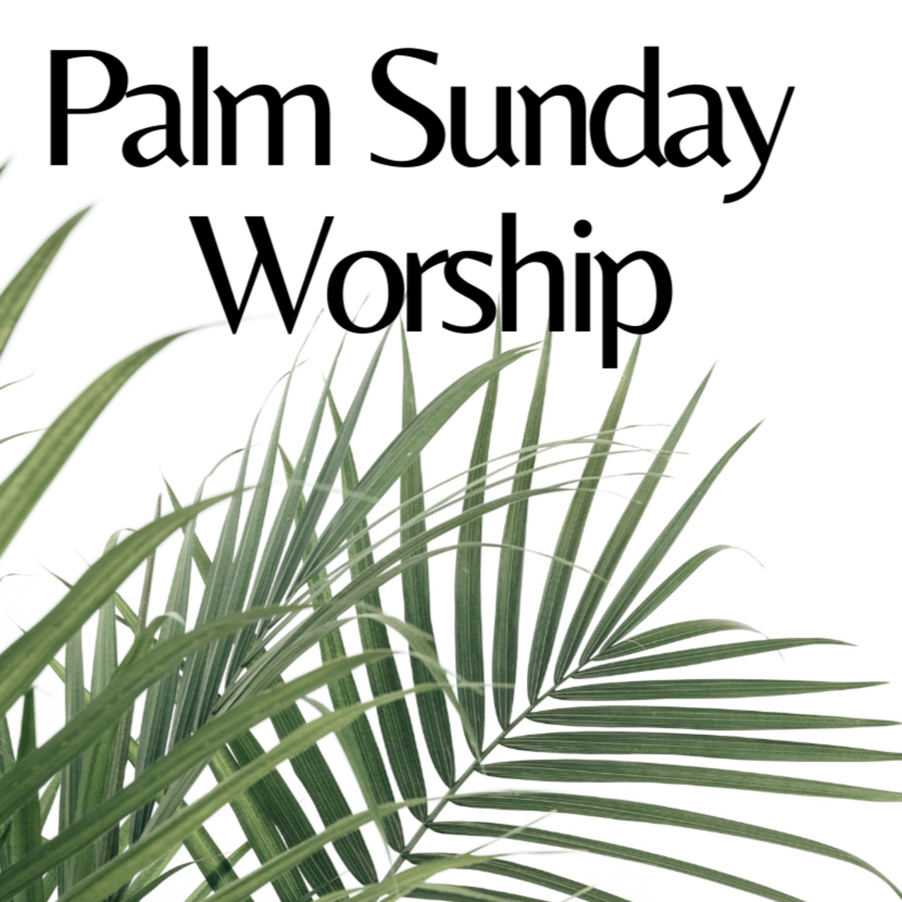 Mission Liberty Hill Lutheran Church Sermons