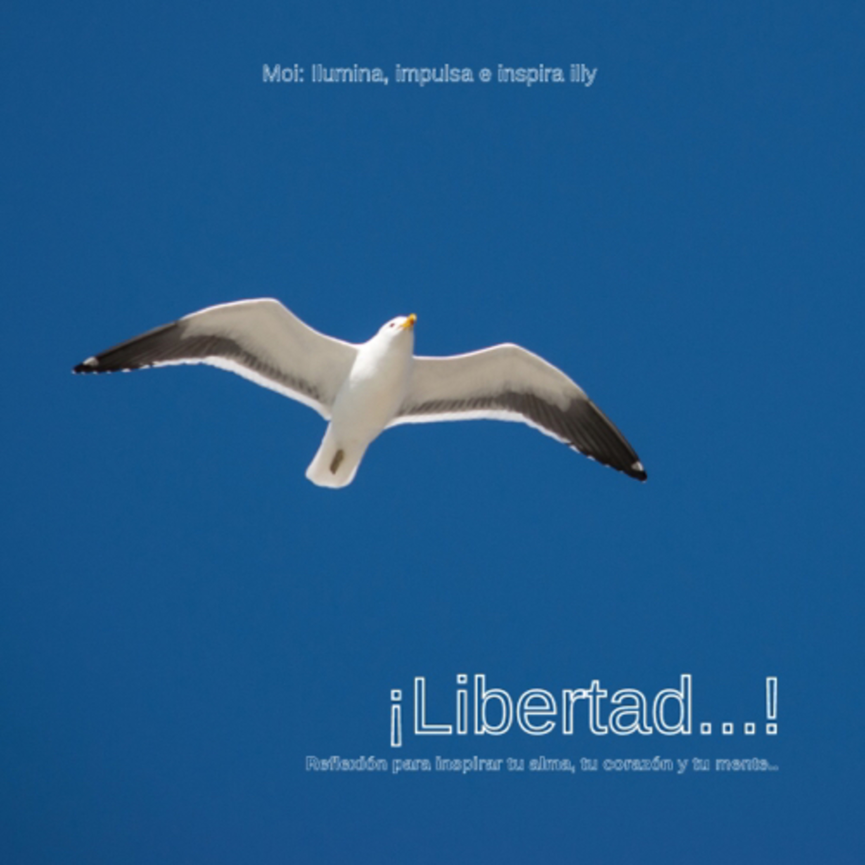Libertad… episode artwork