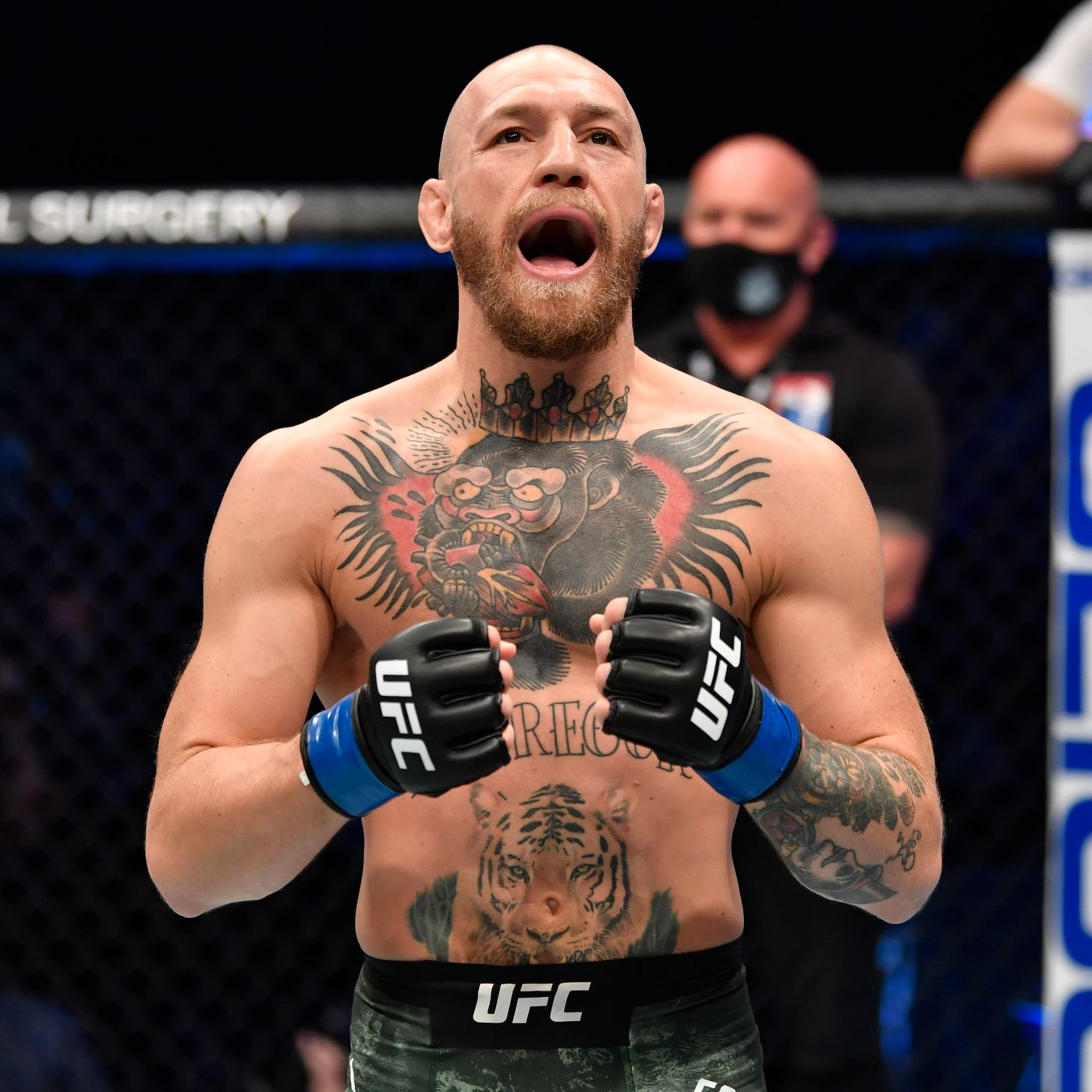 Combat Sports Podcast