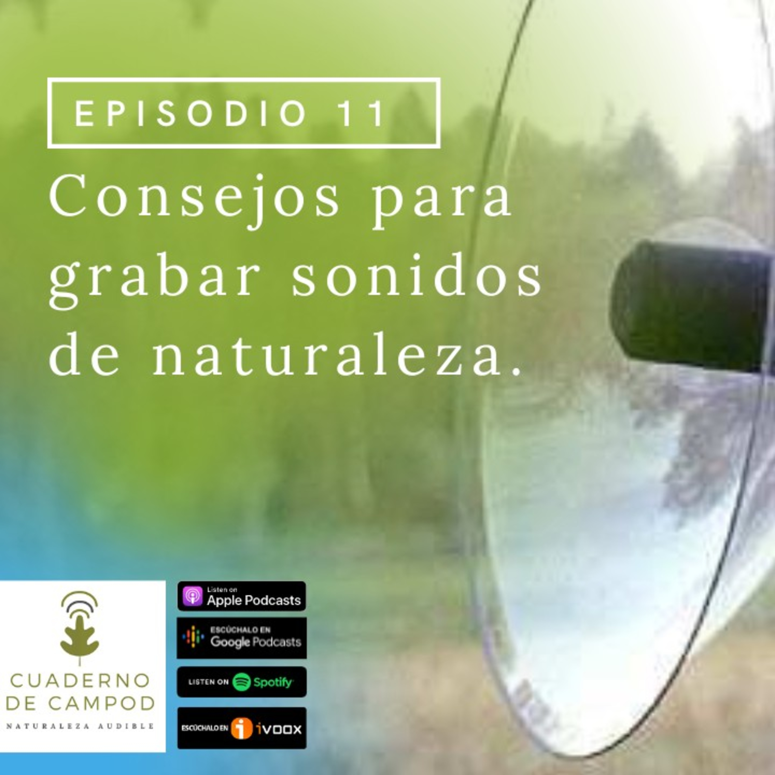Consejos para grabar sonidos de naturaleza. #11 episode artwork