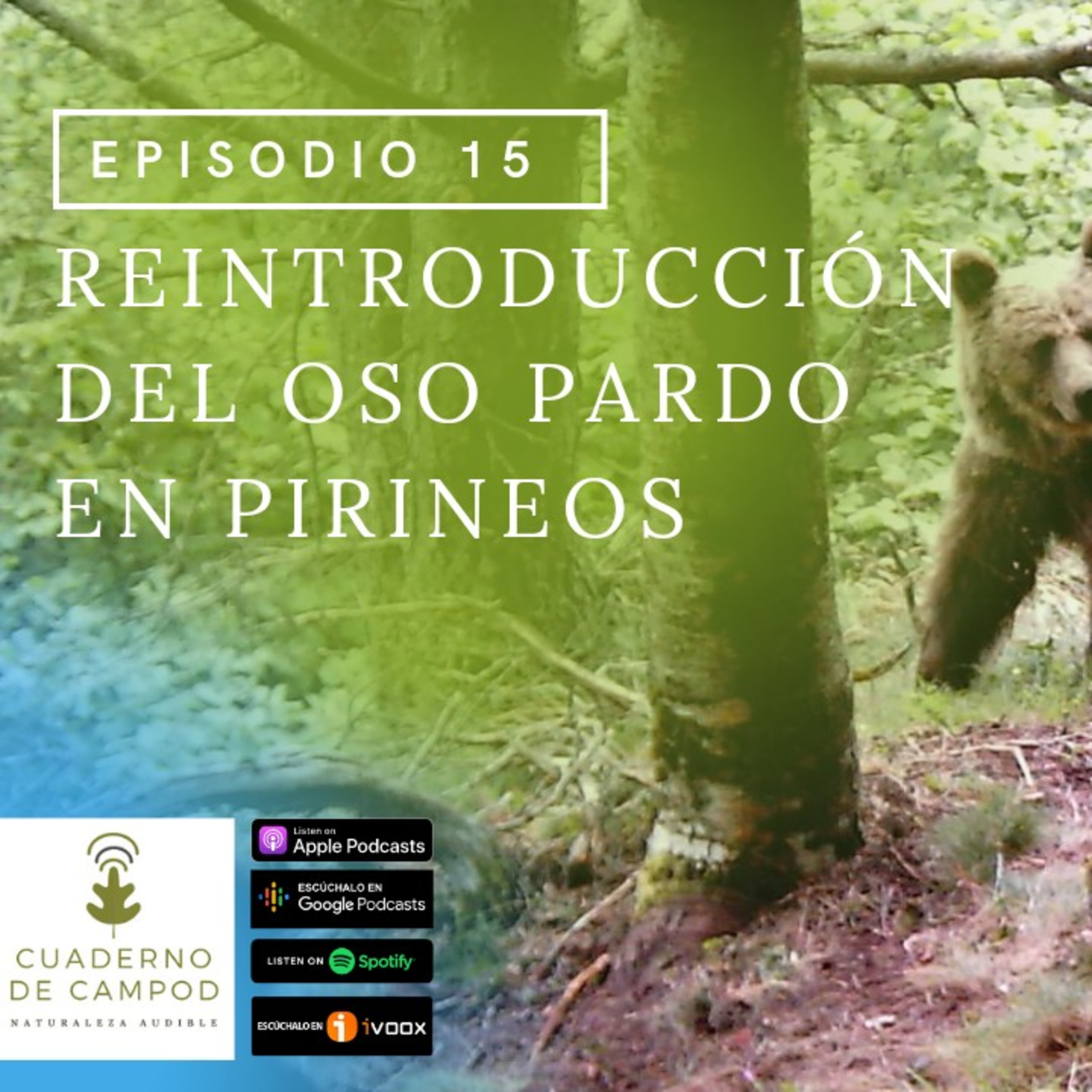 La reintroducción del oso pardo en los Pirineos #15 episode artwork