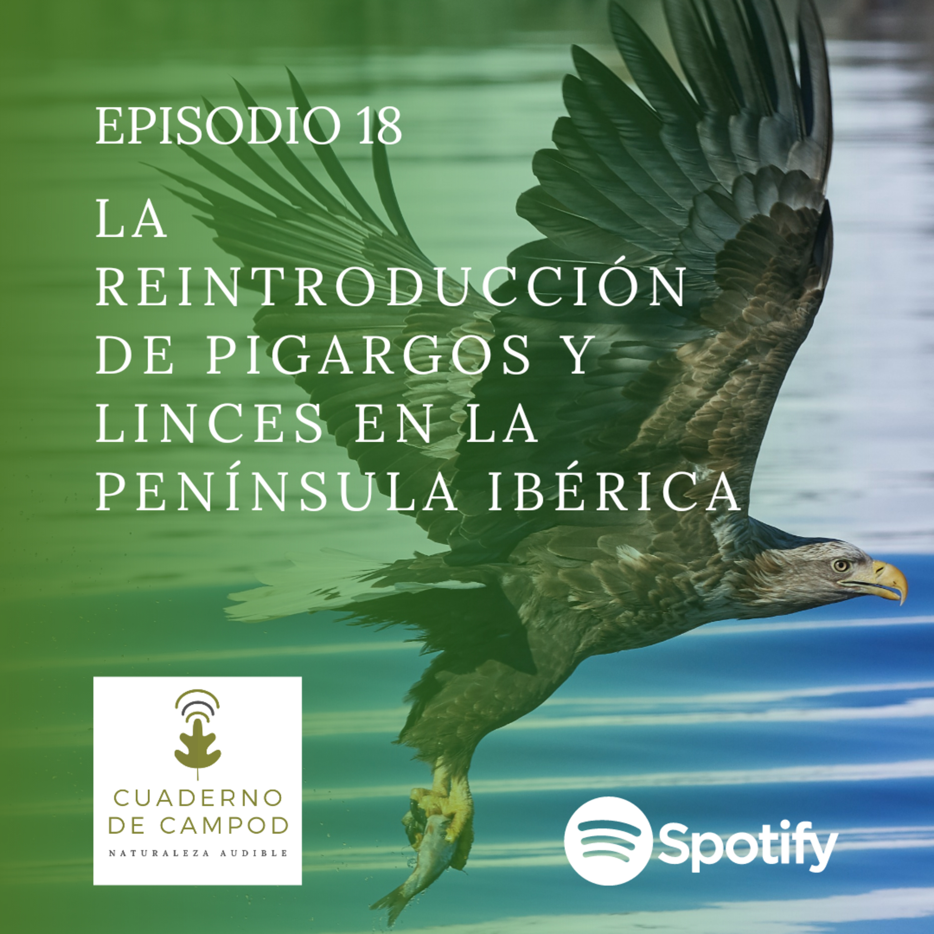 Notas de Naturaleza