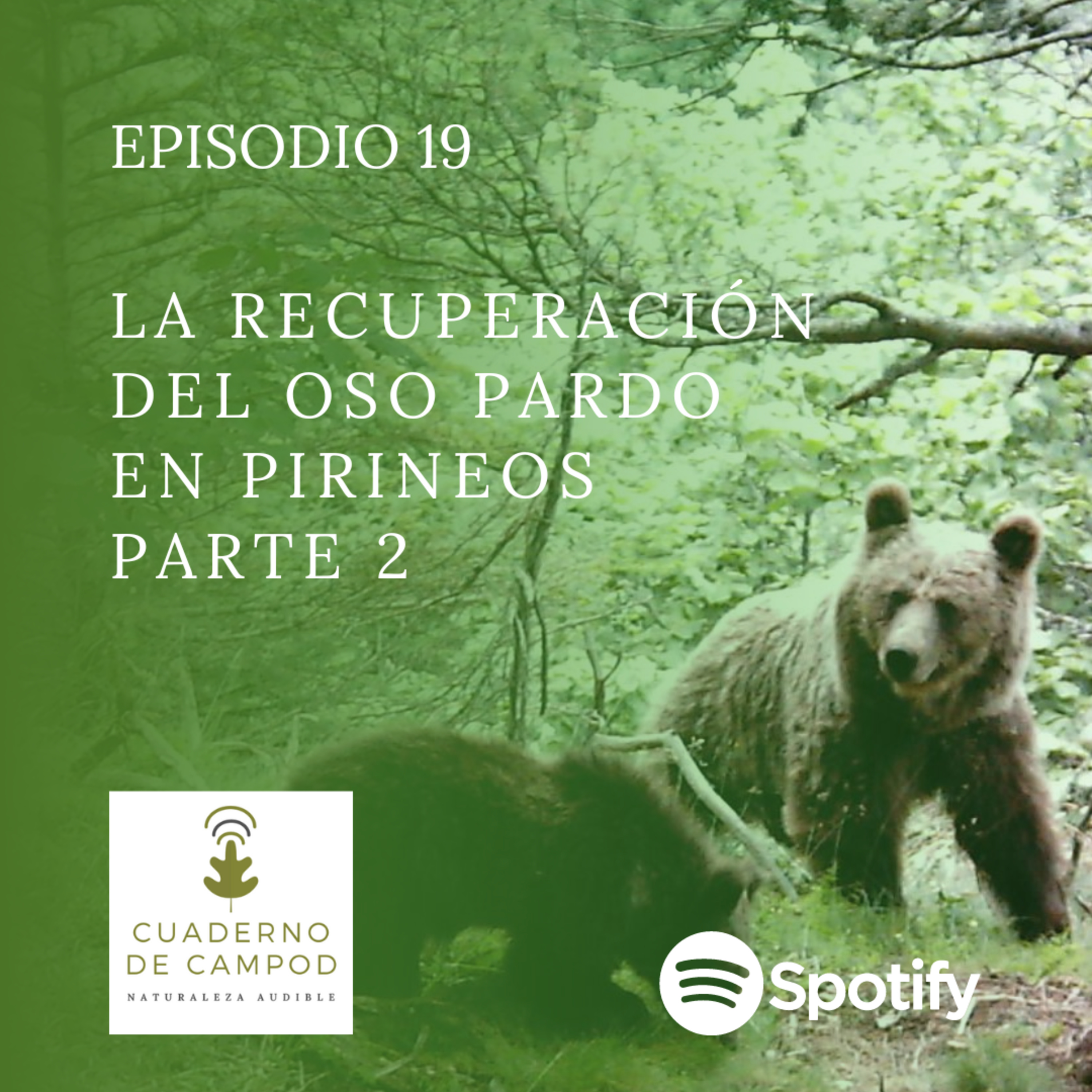 La recuperación del oso pardo en Pirineos Parte 2 #19 episode artwork