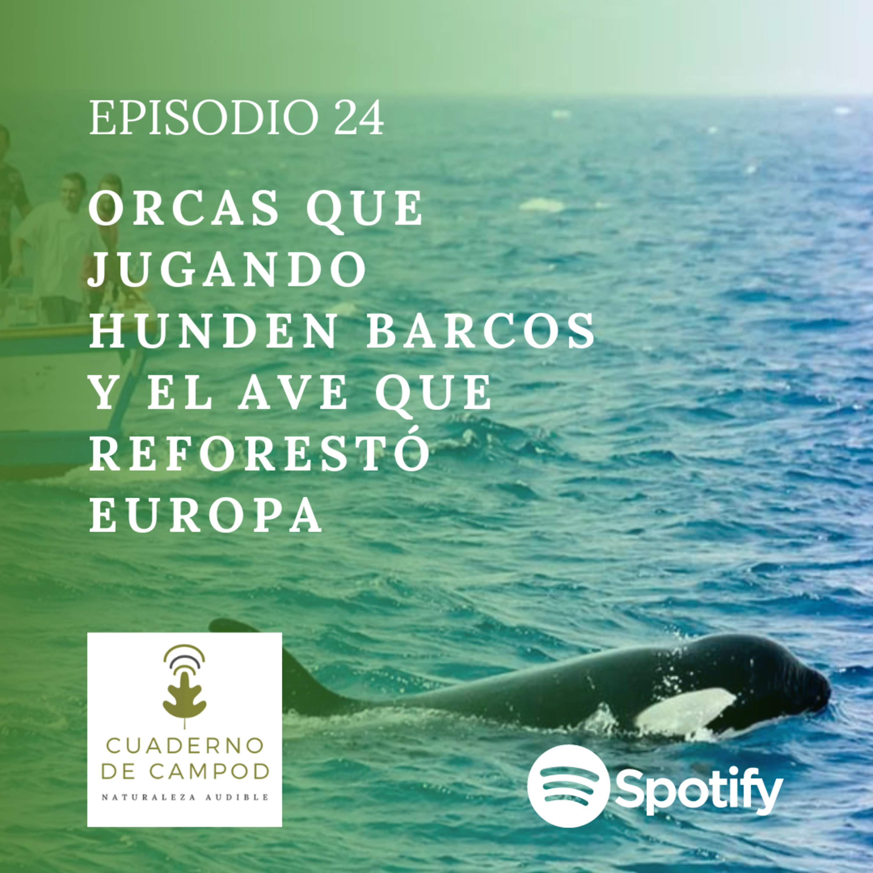 Orcas que hunden barcos y el ave que reforestó Europa #24 episode artwork