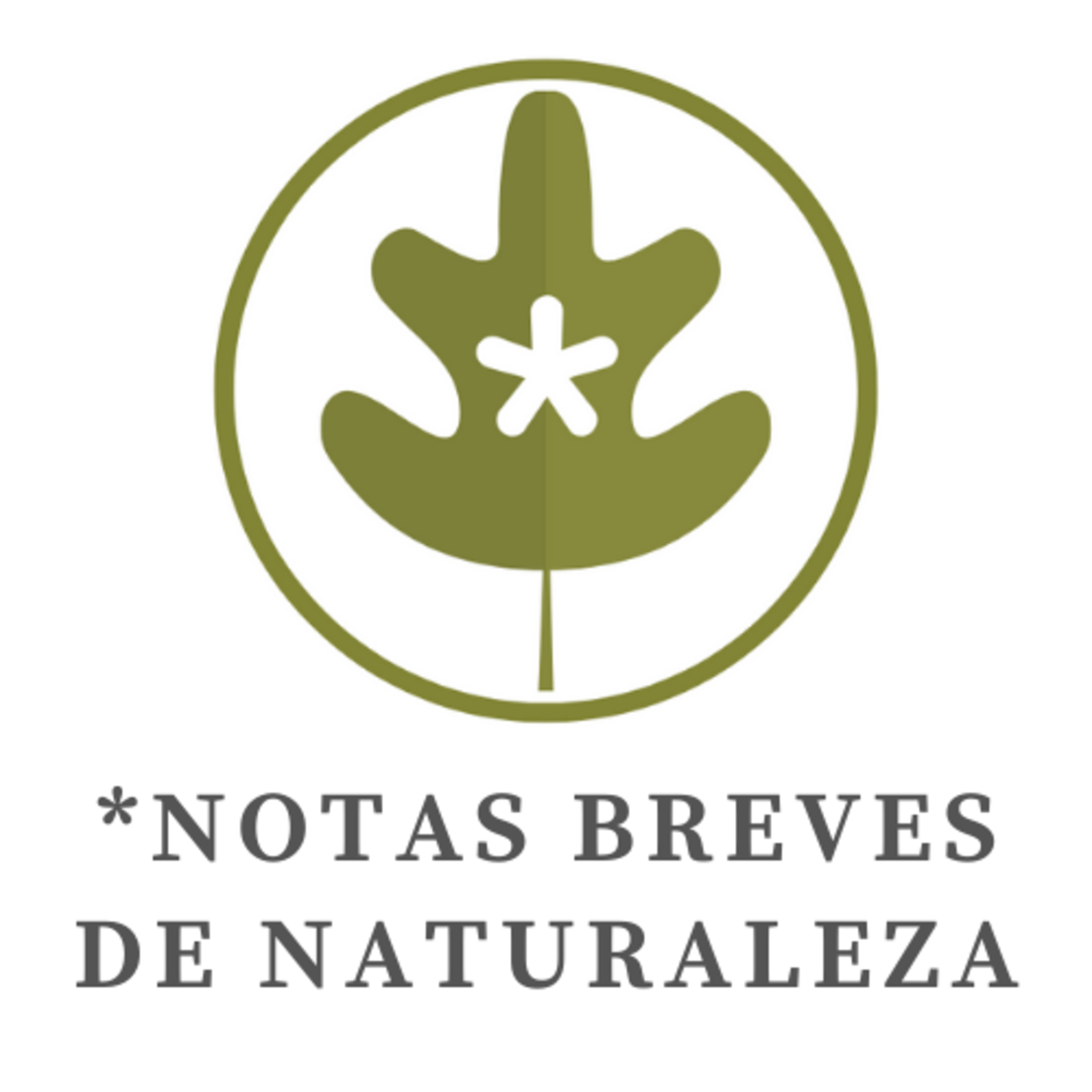 Notas breves de Naturaleza #8