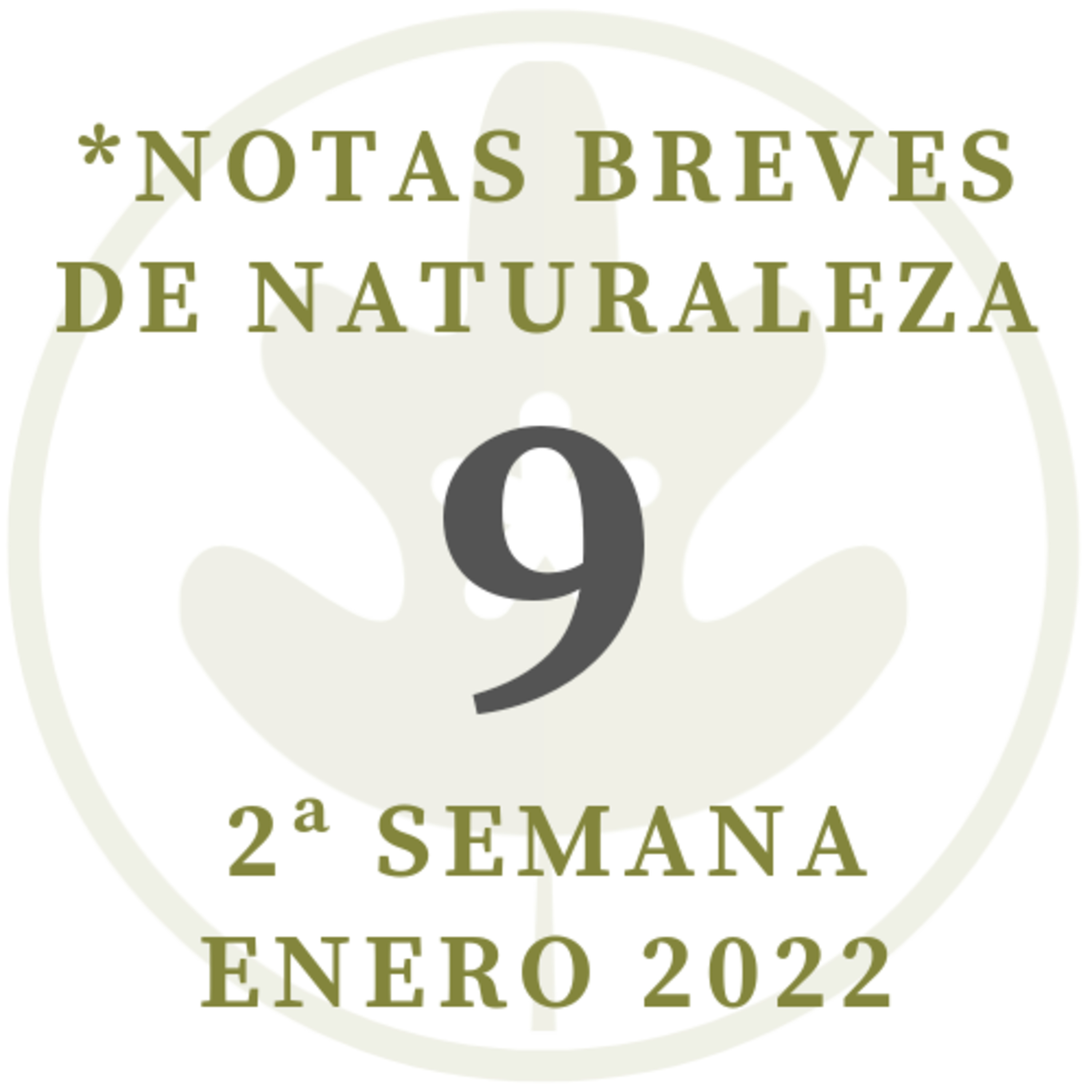 Notas Breves de Naturaleza #9  episode artwork