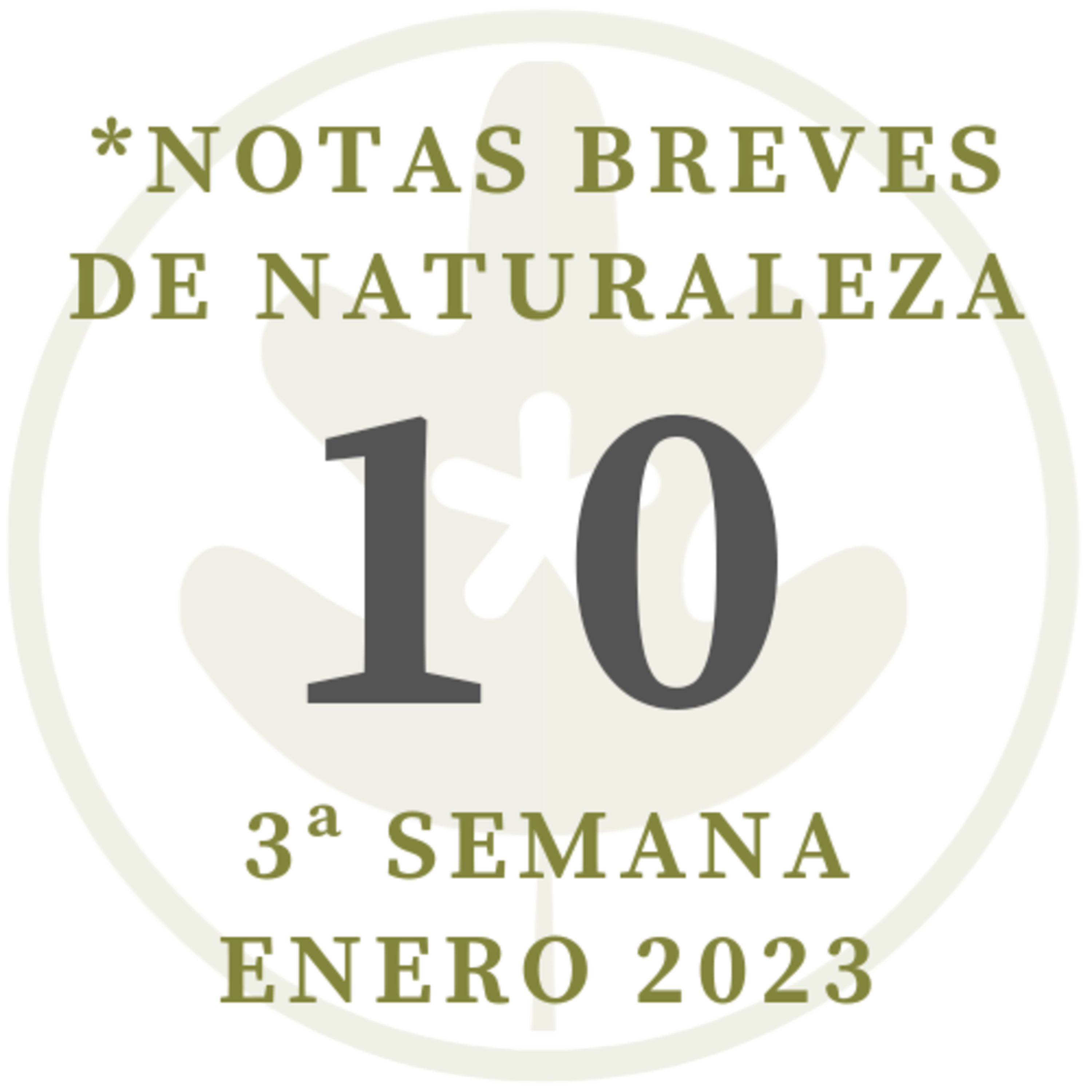 Notas de Naturaleza