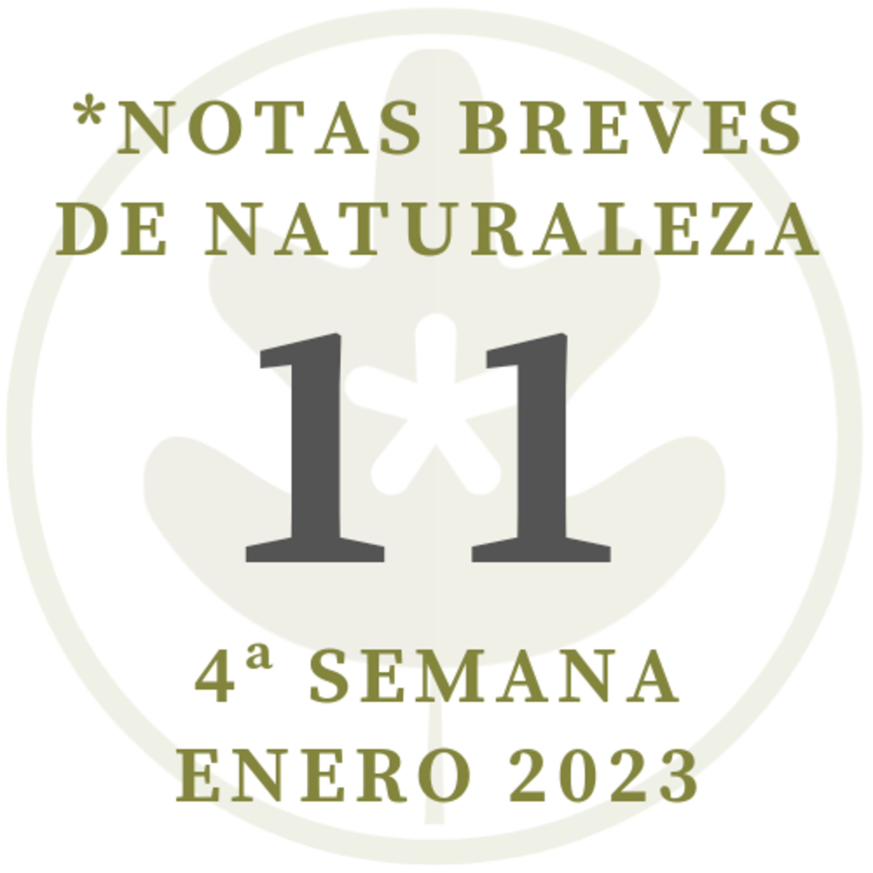 Notas de Naturaleza