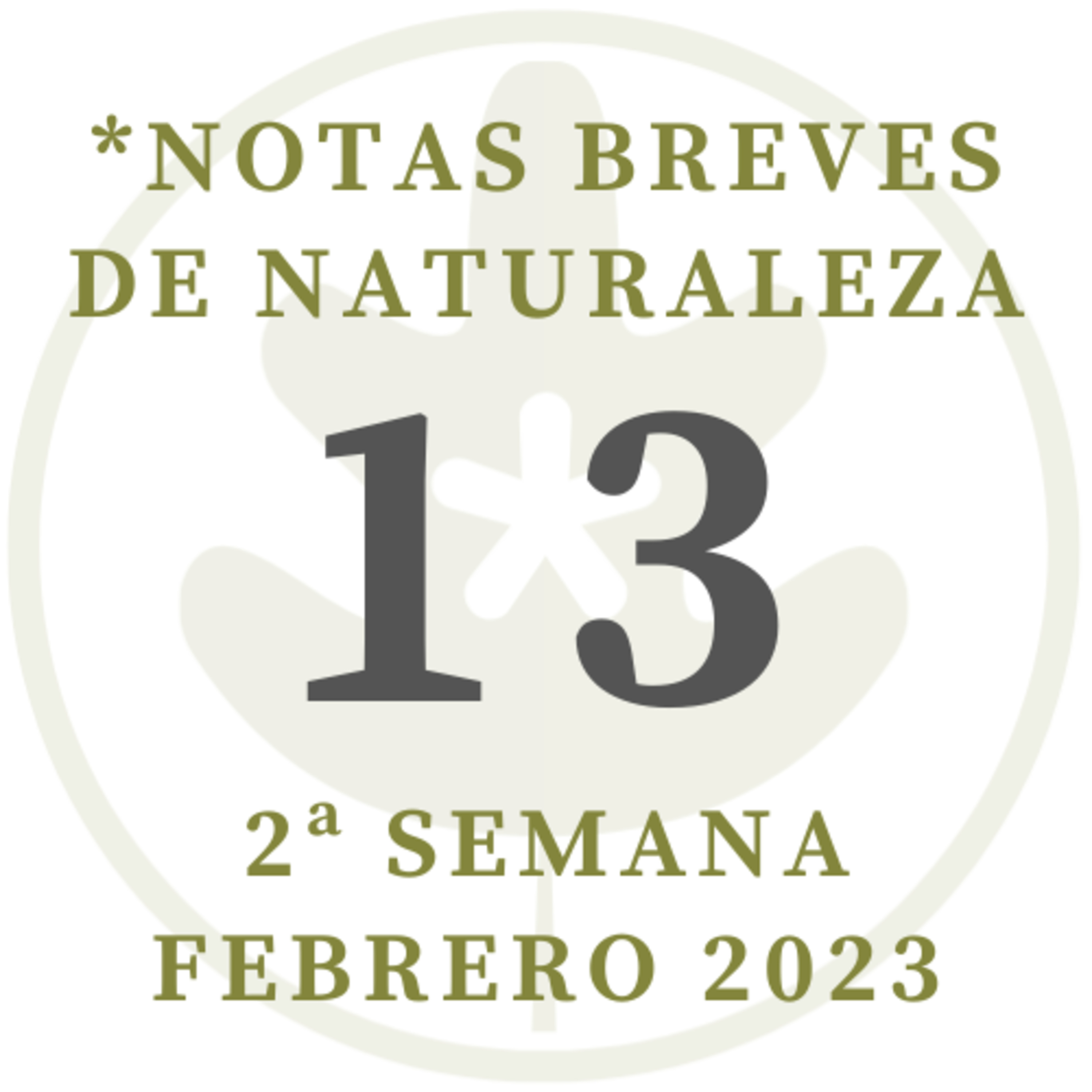 Notas breves de Naturaleza #13 episode artwork