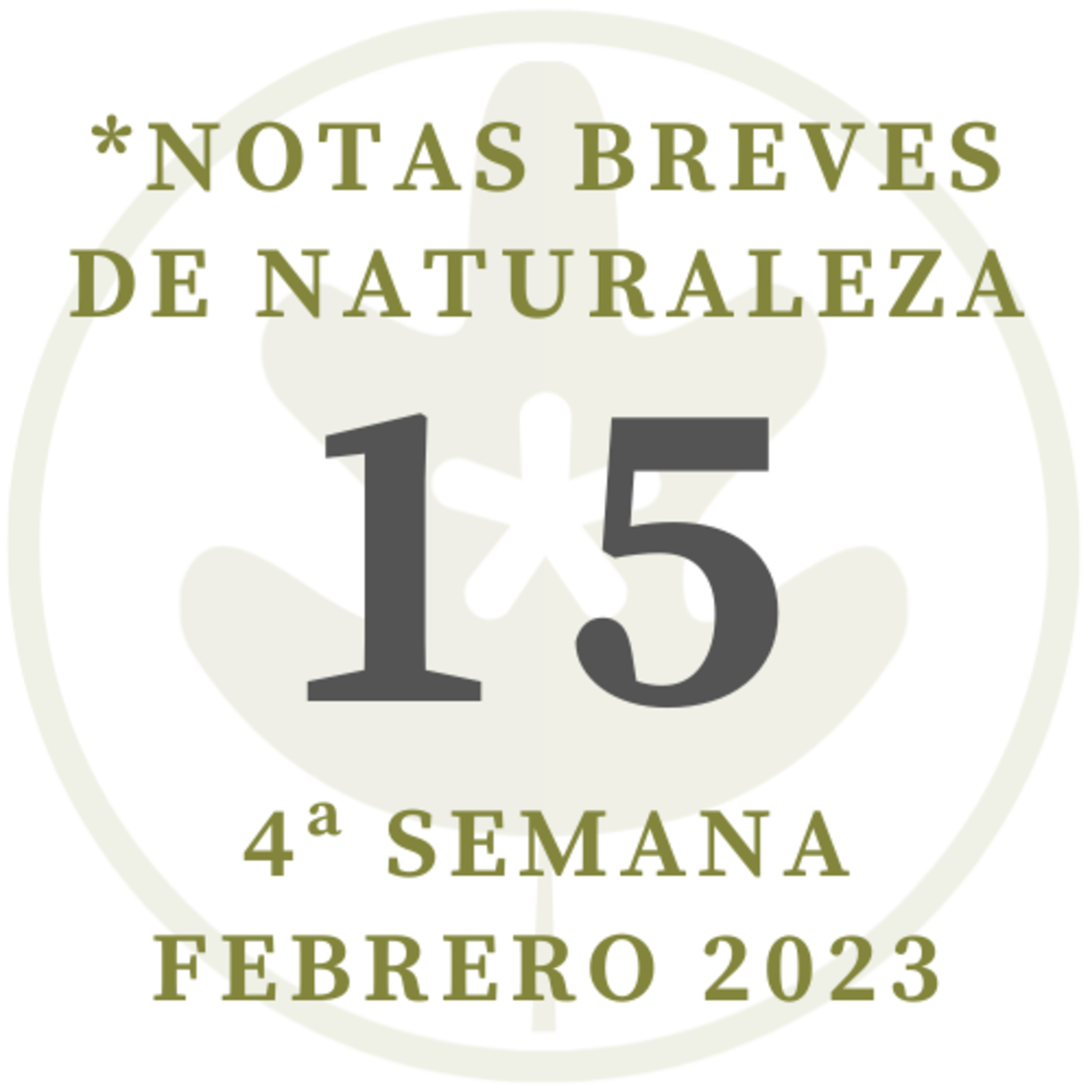 Notas breves de Naturaleza #15