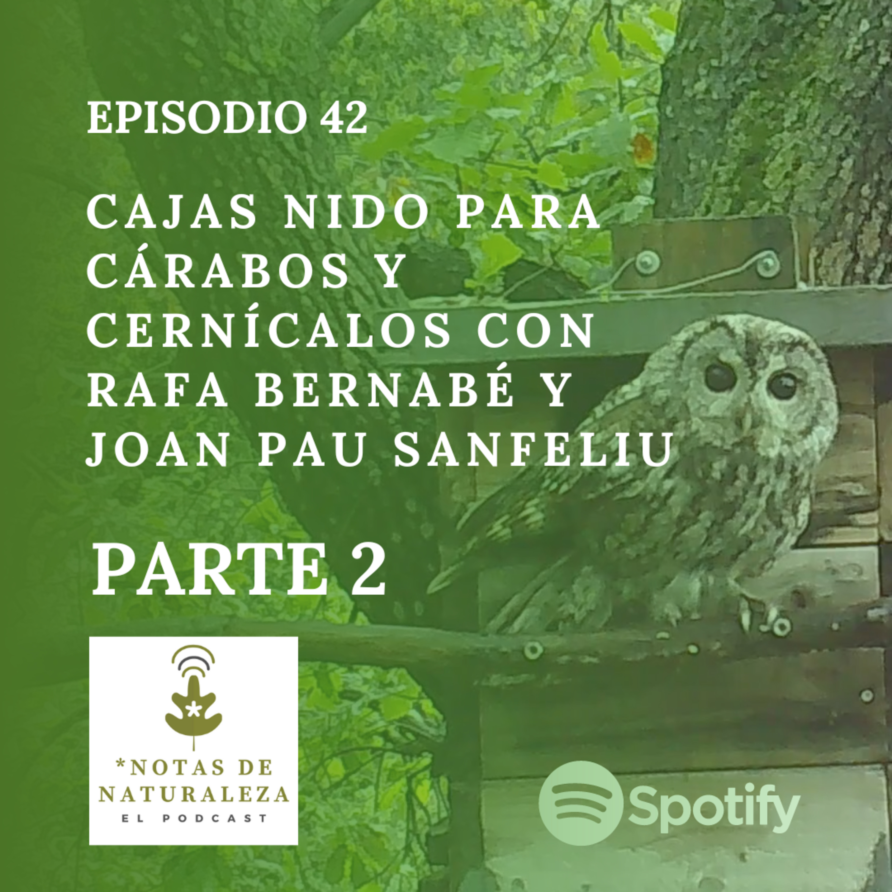 Cajas nido para Cárabos y Cernícalos con Rafa Bernabé y Joan Pau Sanfeliu. Parte 2 #42 episode artwork