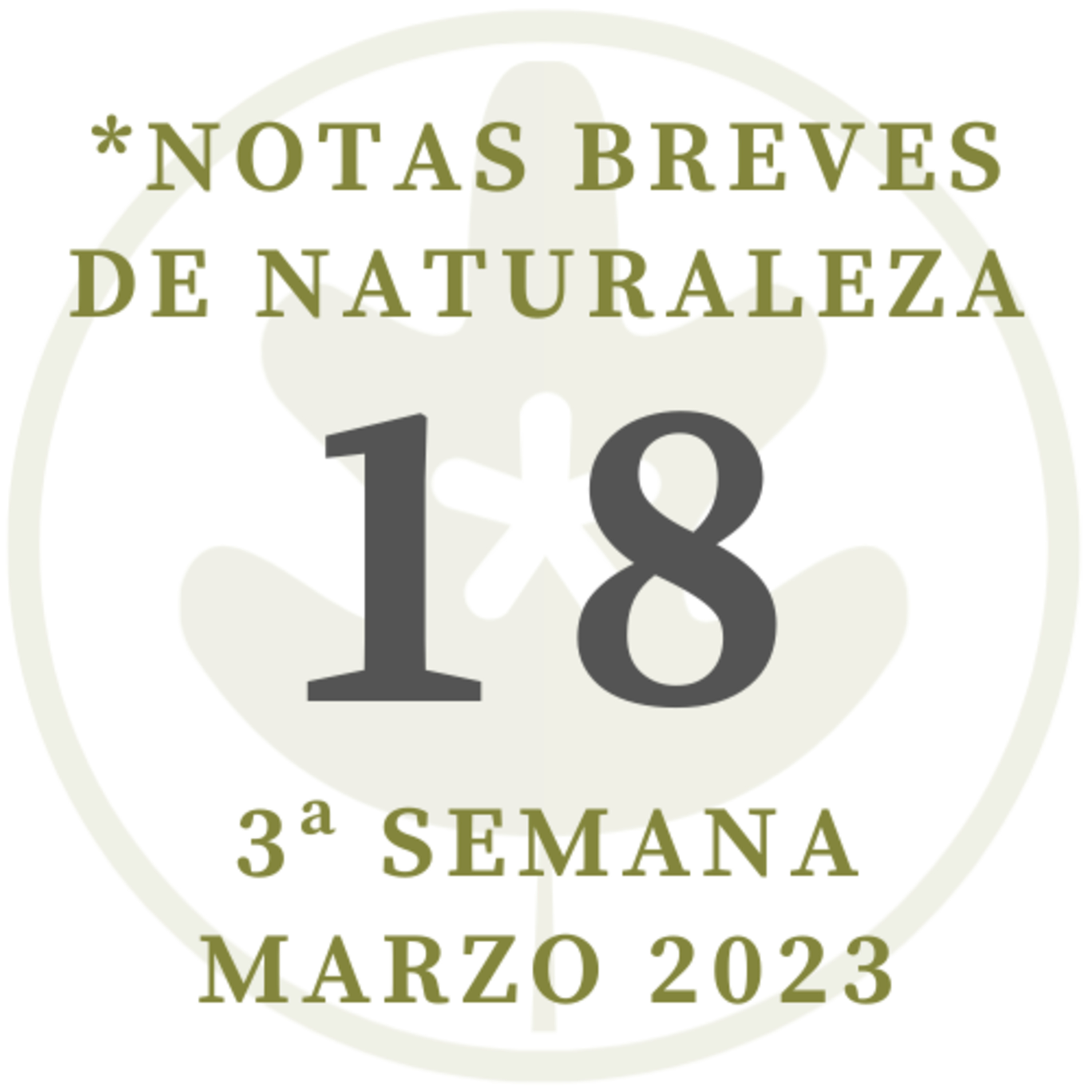 Notas breves de Naturaleza #18 episode artwork
