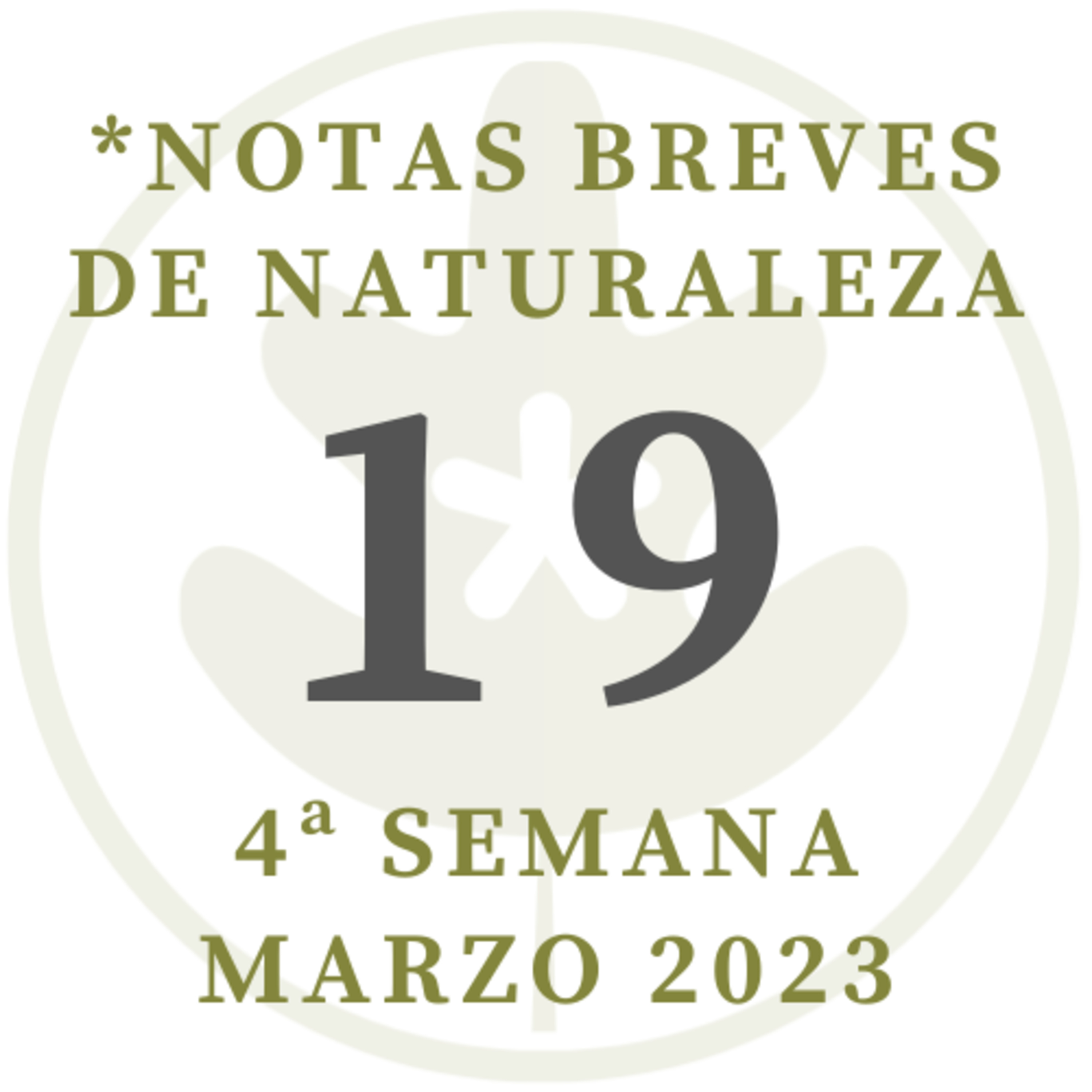 Notas de Naturaleza