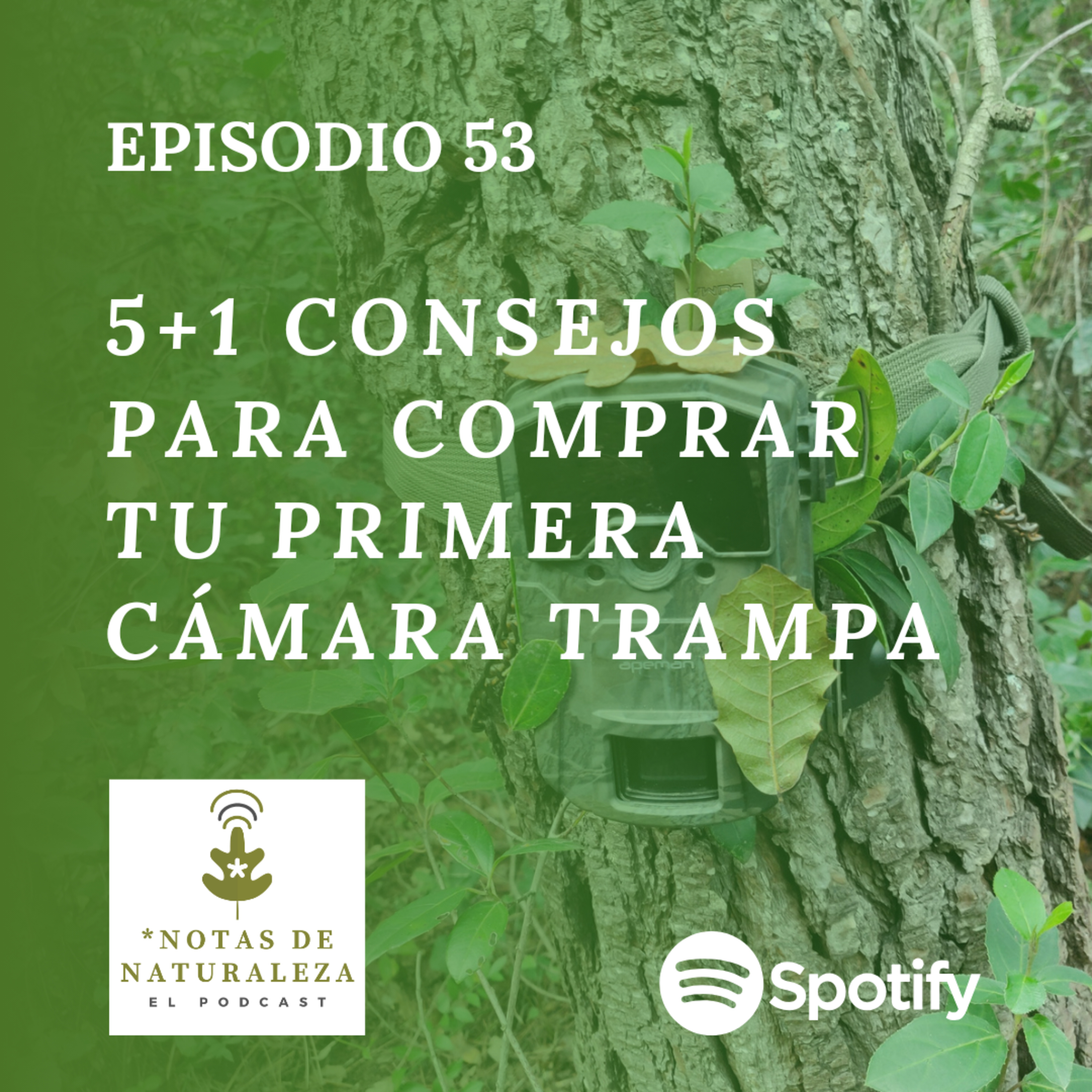 Consejos para comprar tu primera cámara trampa #53 episode artwork